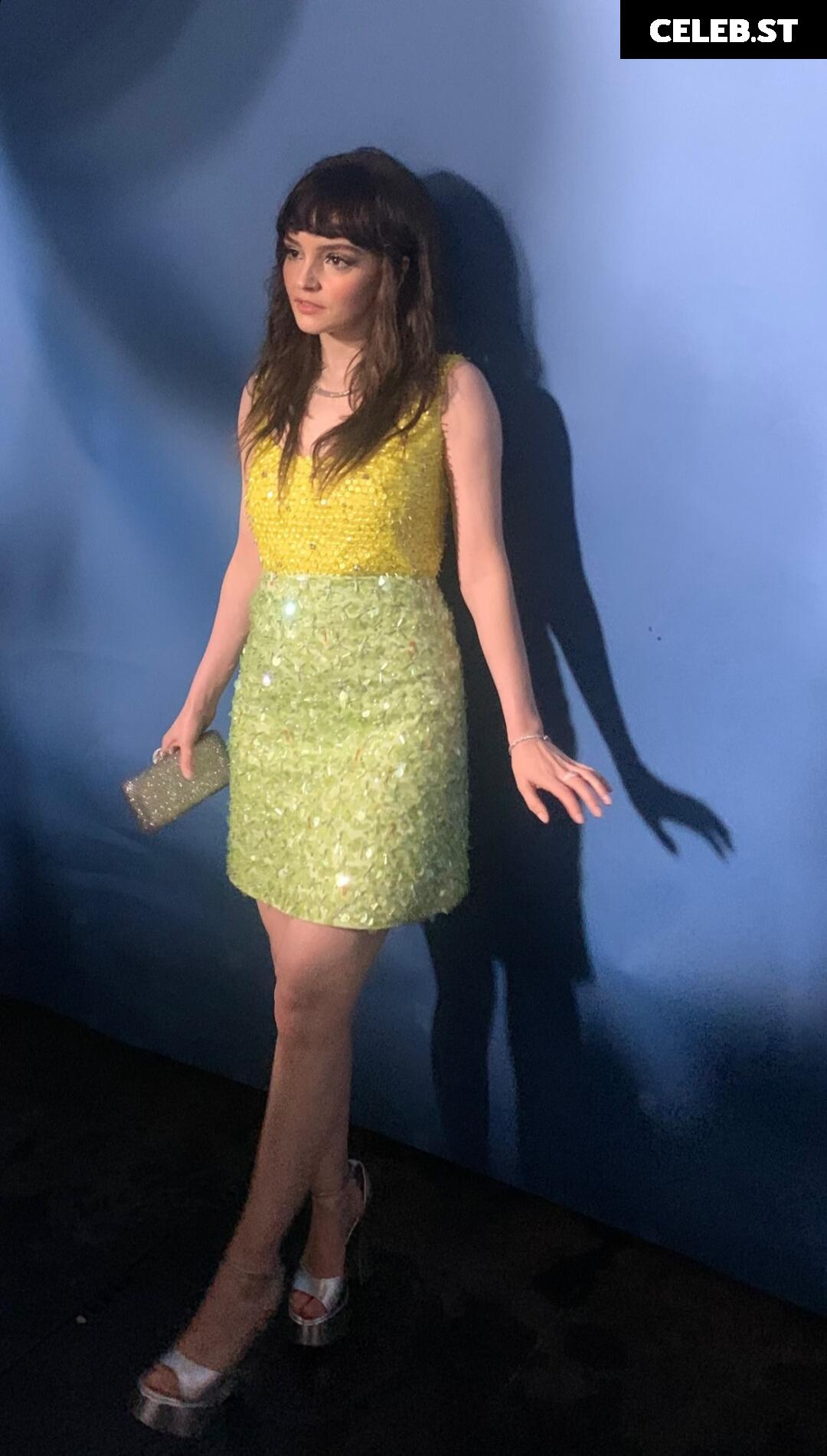 Lauren Mayberry (Singer) Image 4500537