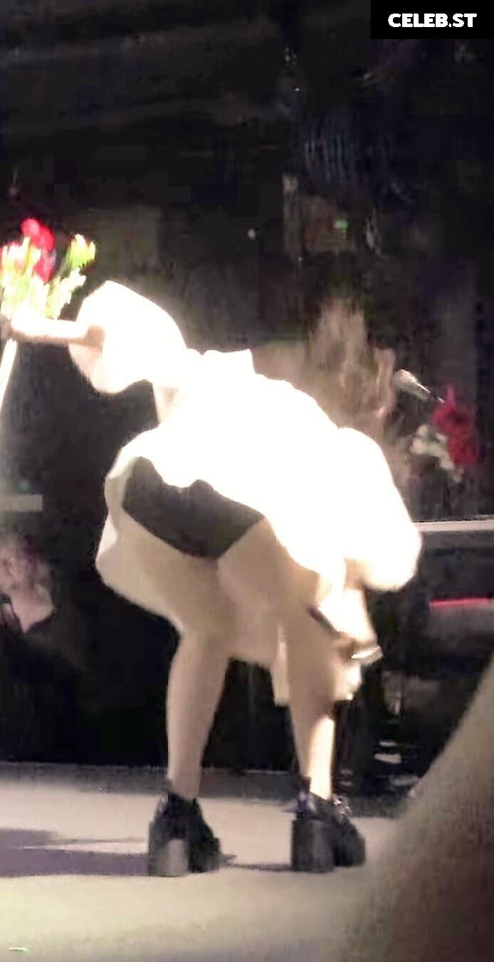 Lauren Mayberry (Singer) Image 4500140