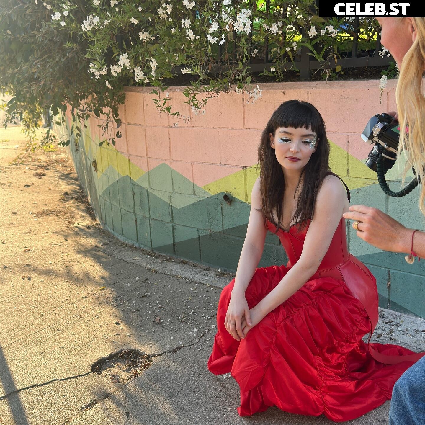 Lauren Mayberry (Singer) Image 4508549