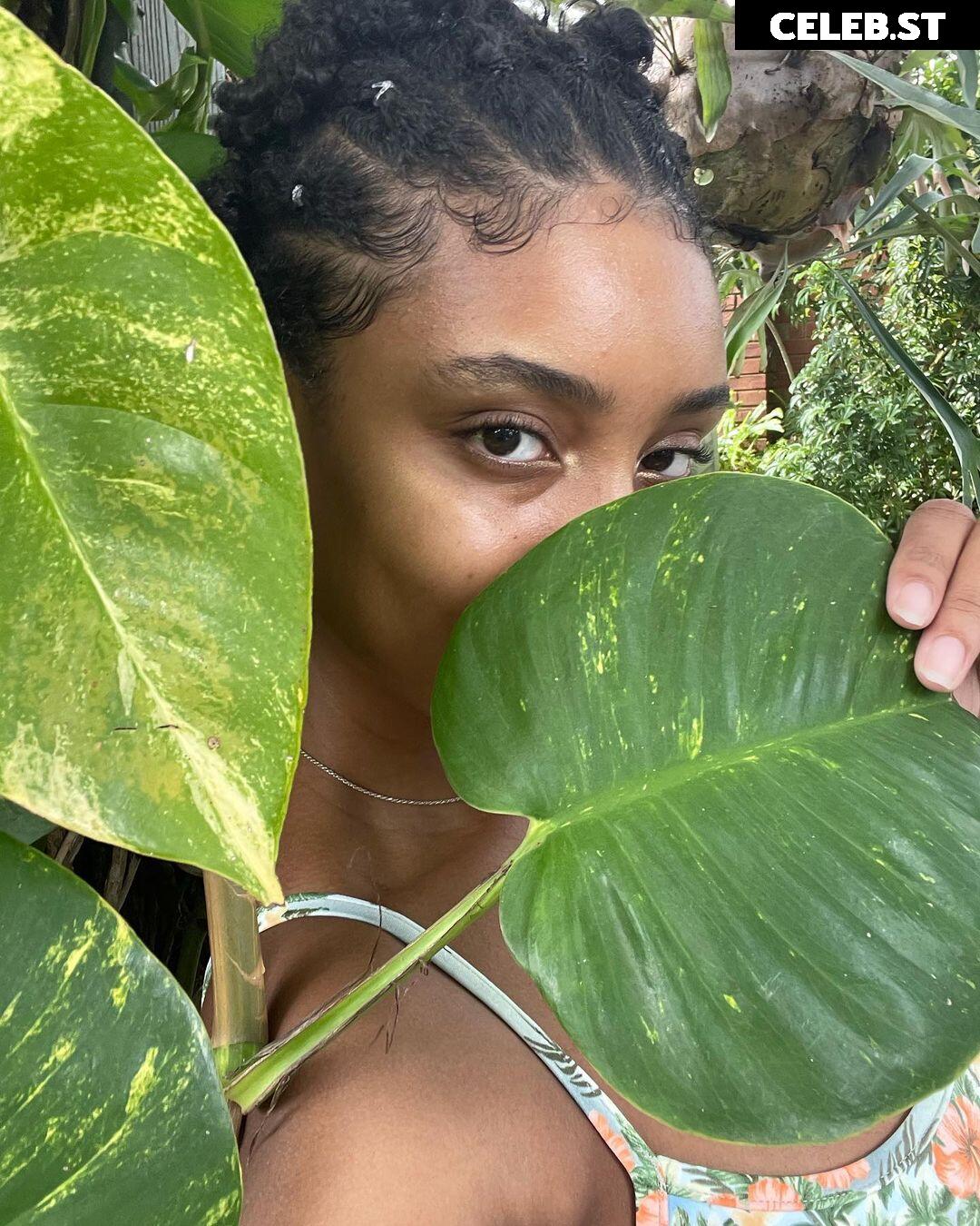 planterriah Image 4691500