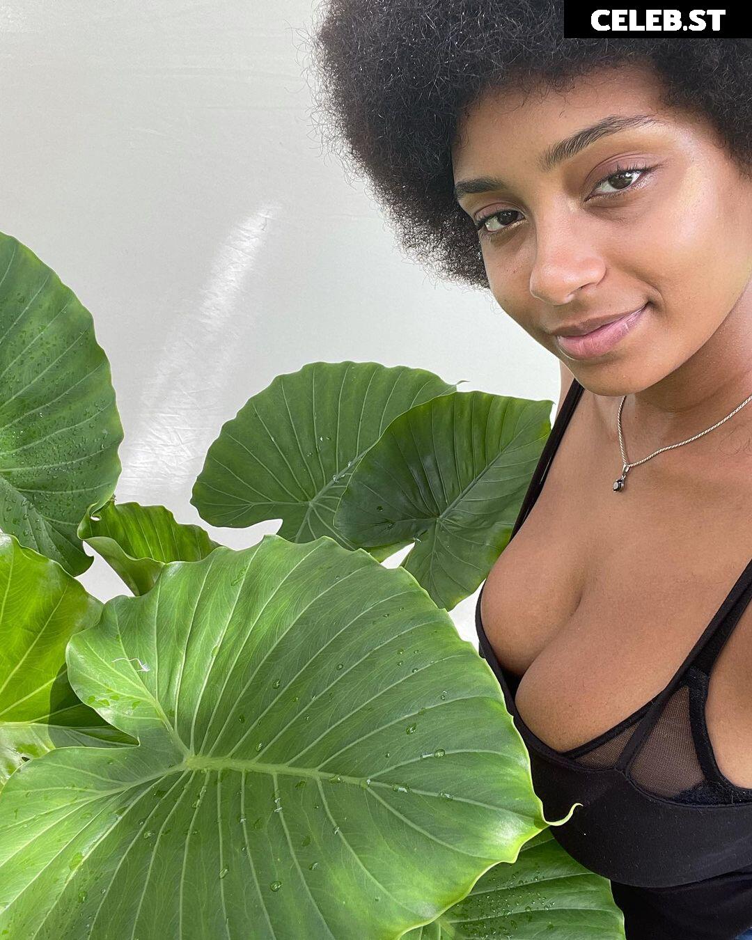 planterriah Image 4692129