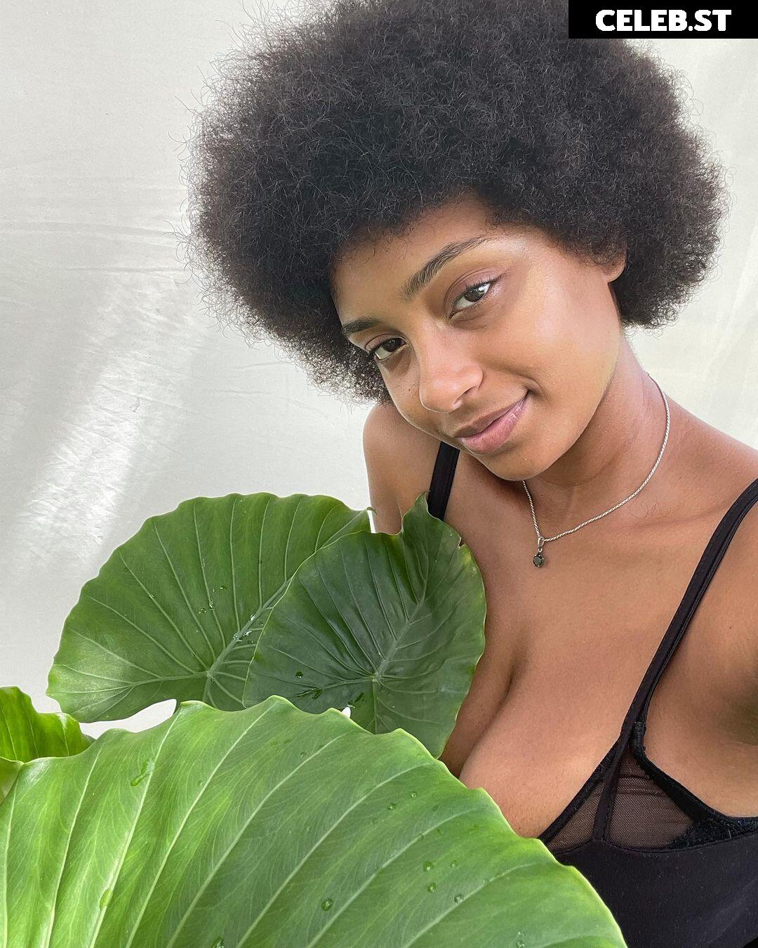 planterriah Image 4692094