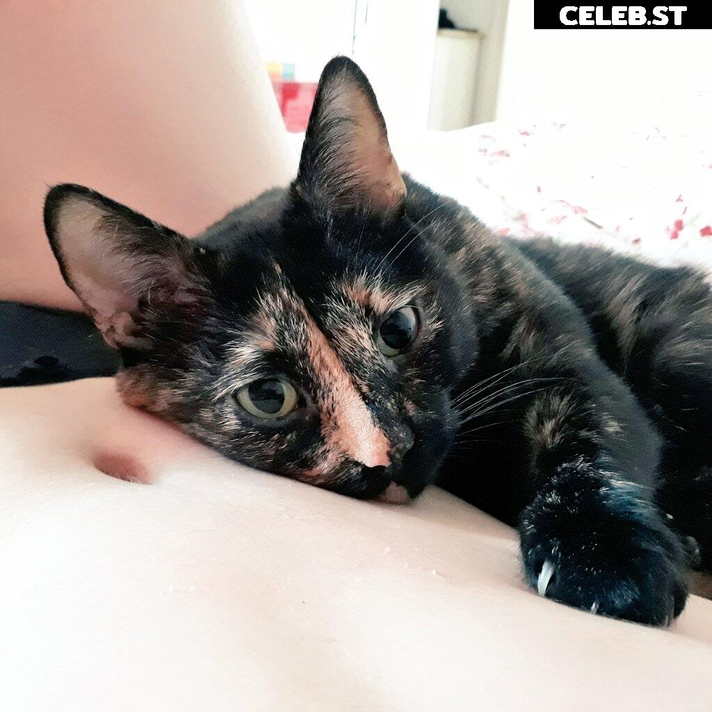 Lillya_cb Image 468660