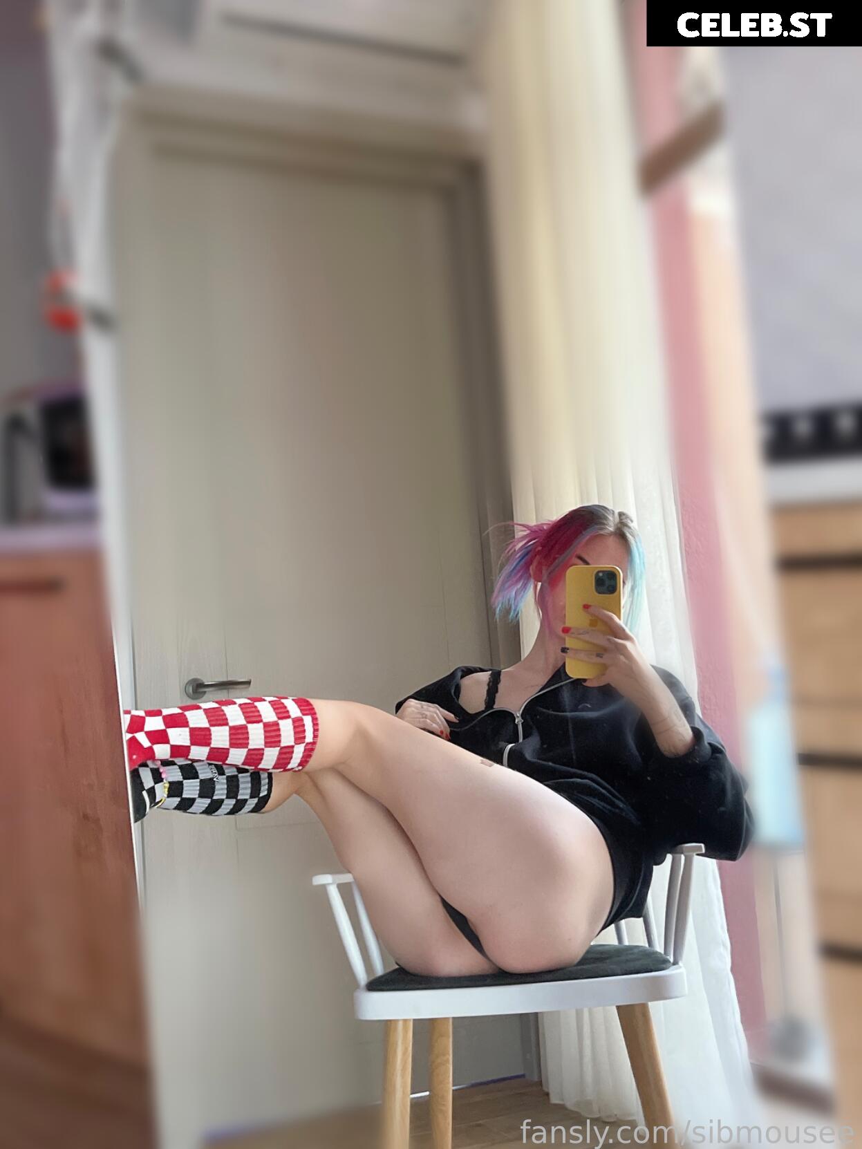 sibmouse / sib.mouse / sibmousee Image 4670989