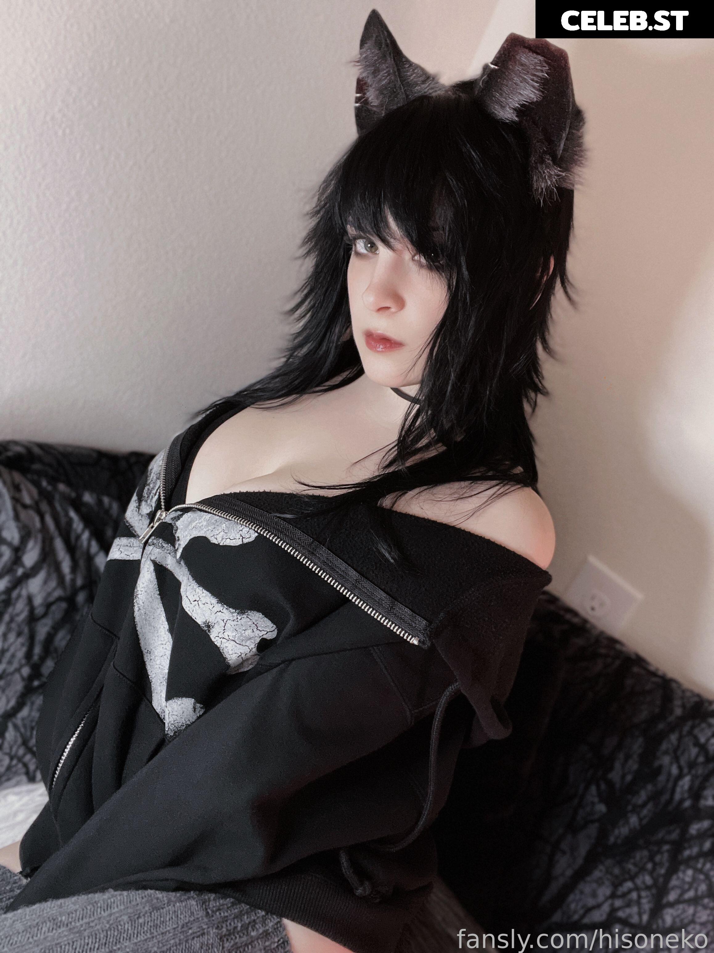 Hiso Neko Image 4654492