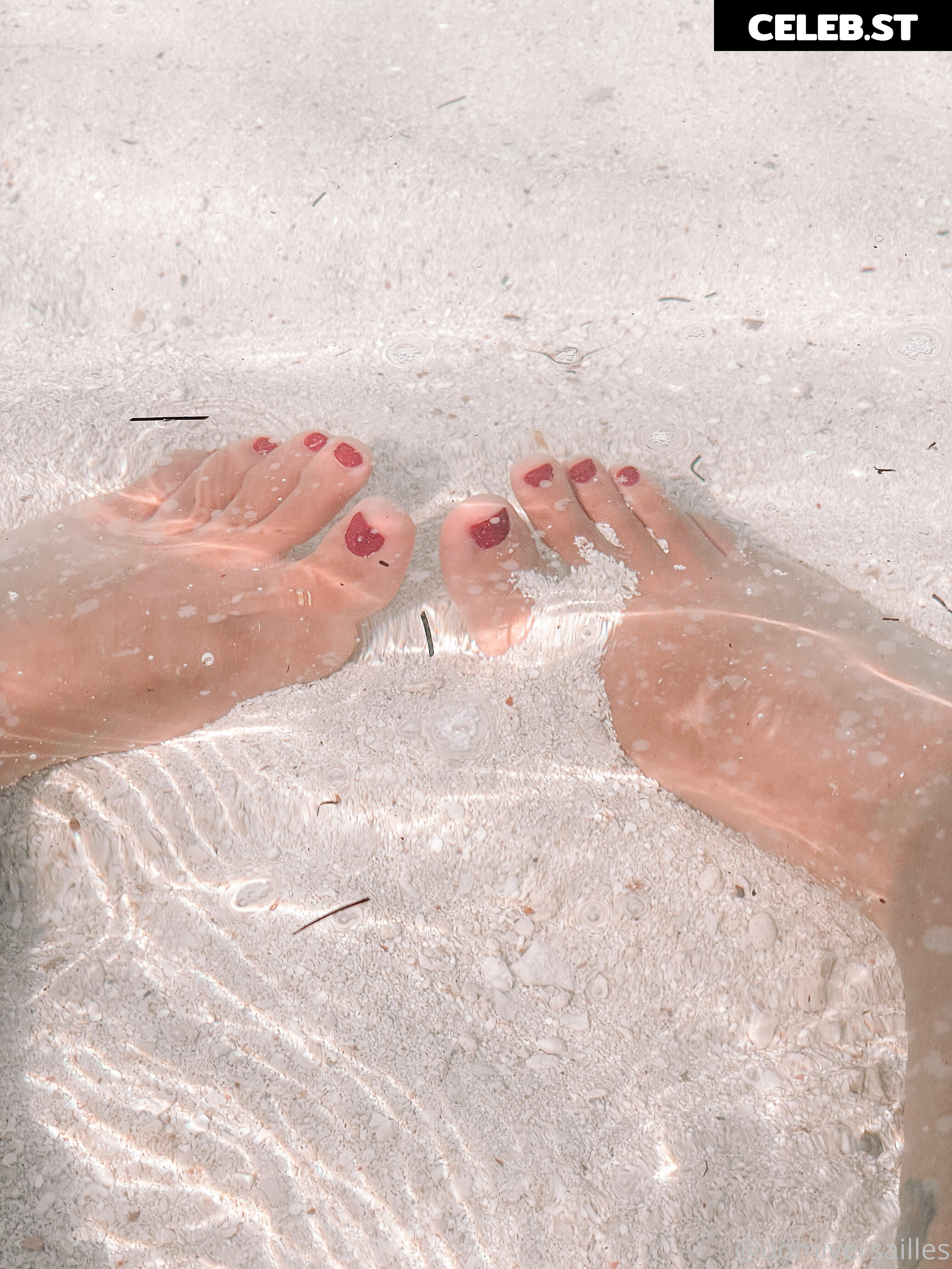 domiversailles Image 4642050