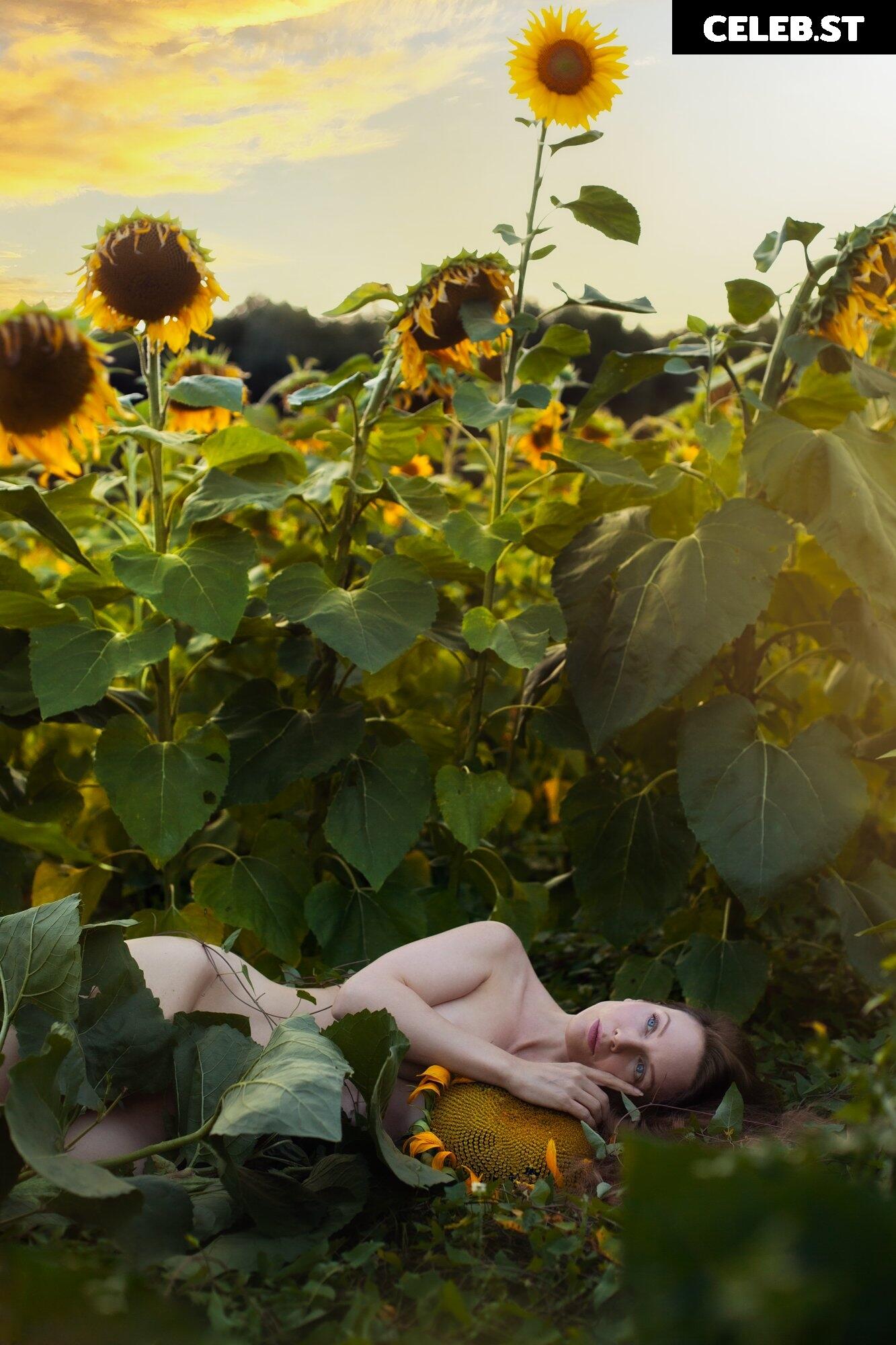 musemercier Image 464341