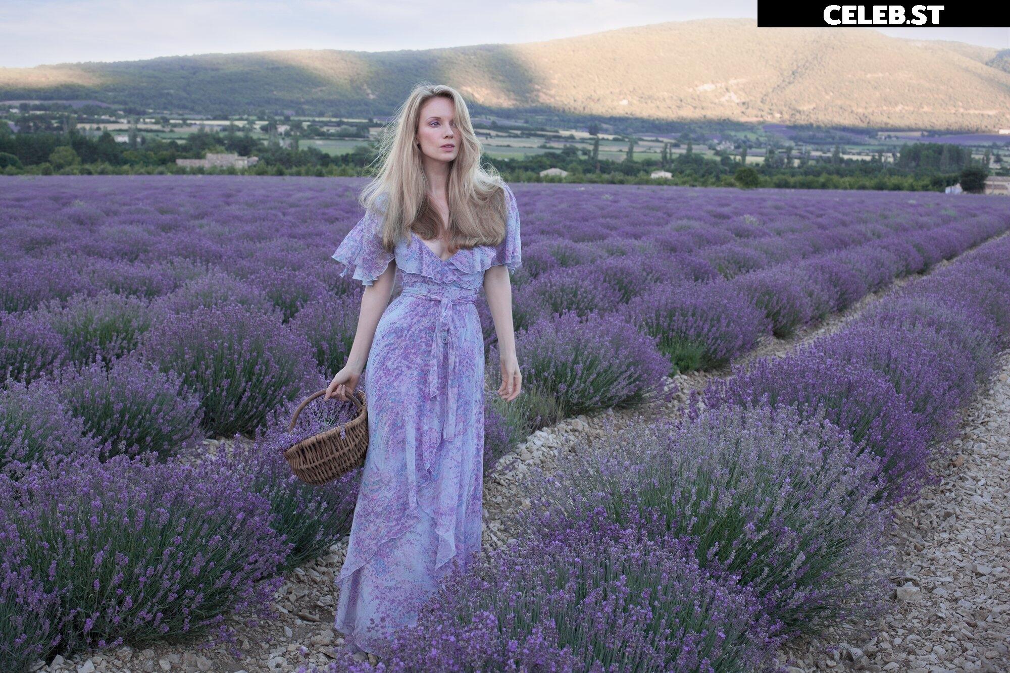 musemercier Image 463684