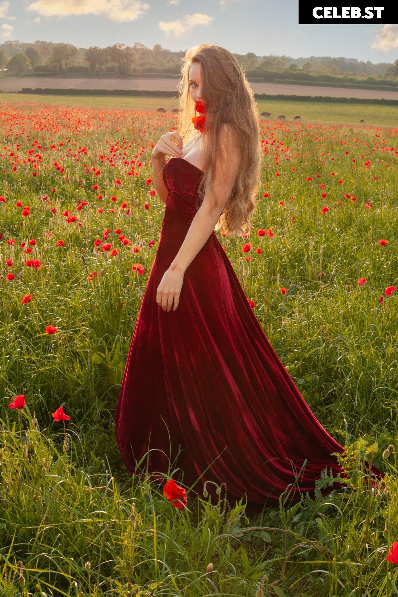 musemercier Image 463889