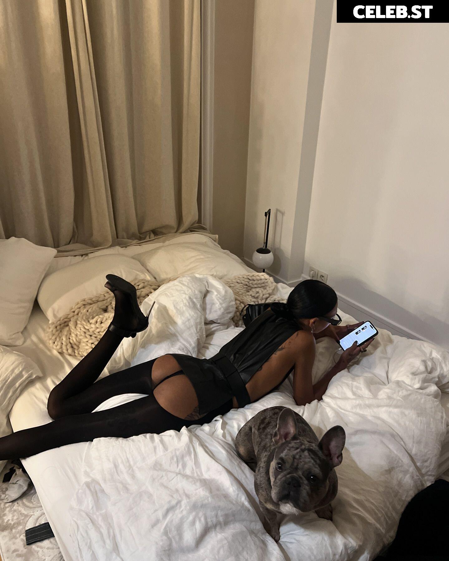 ogee_off Image 4625962