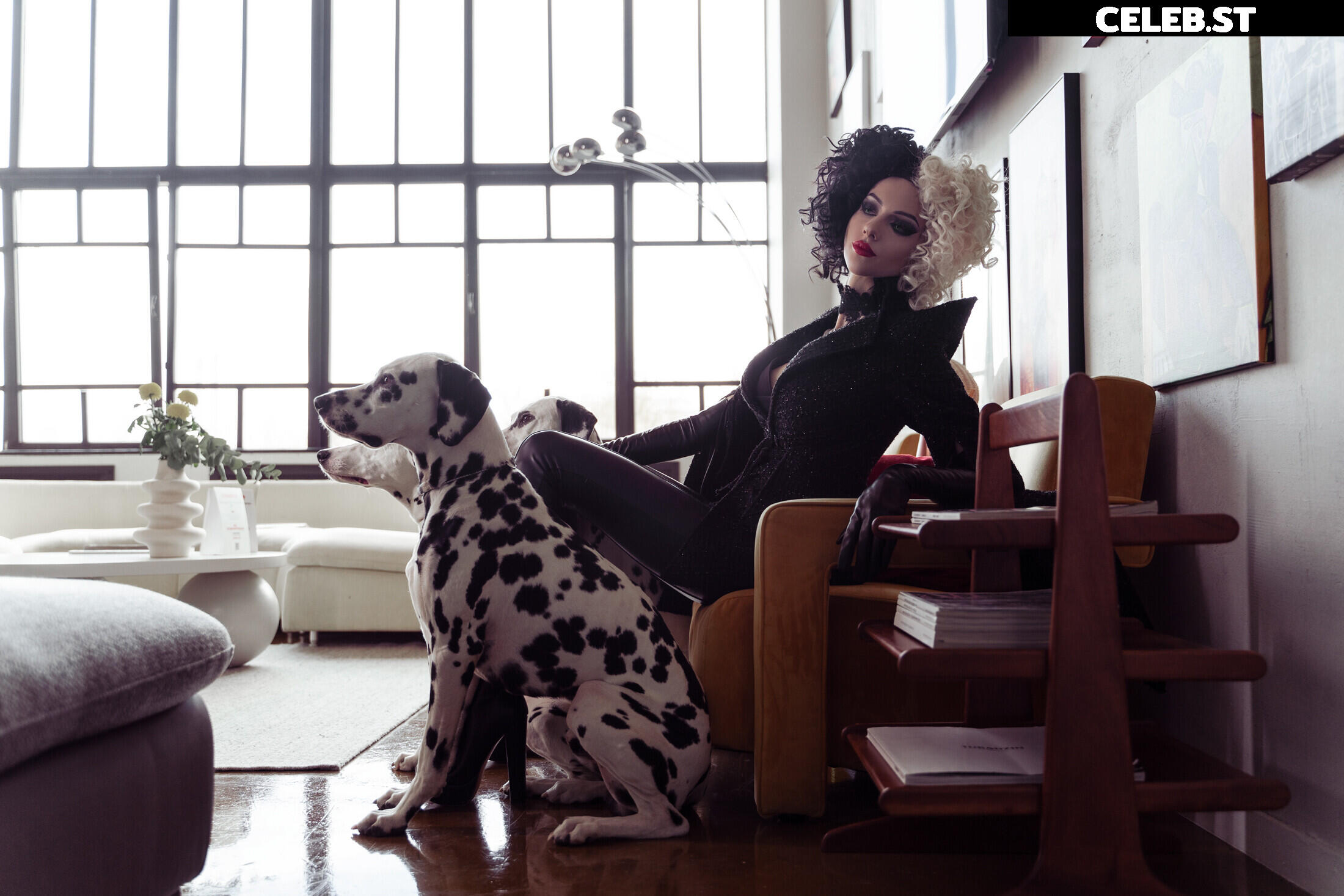 Xenon / Alinma Image 4626786