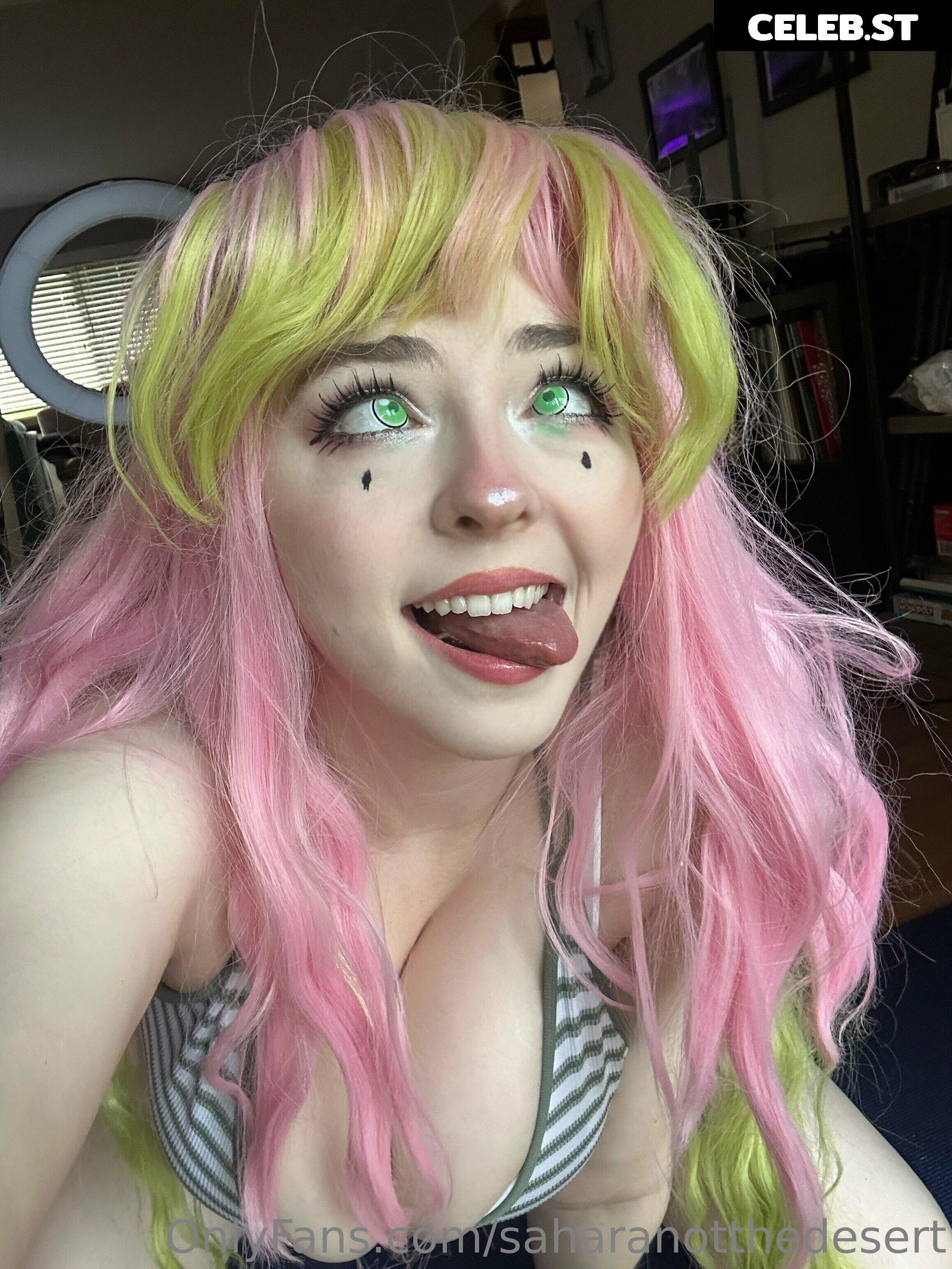 Saharanotthedesert (Turnipfaced, Downsmashed) Image 4794252