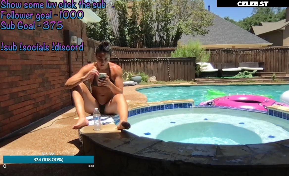 Nipslips &amp; Just Chatting streamers Image 4791676