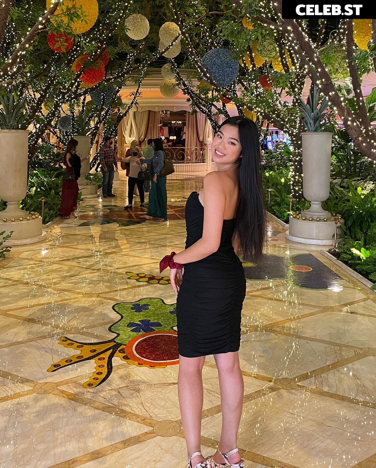 Nemsko Image 4793830