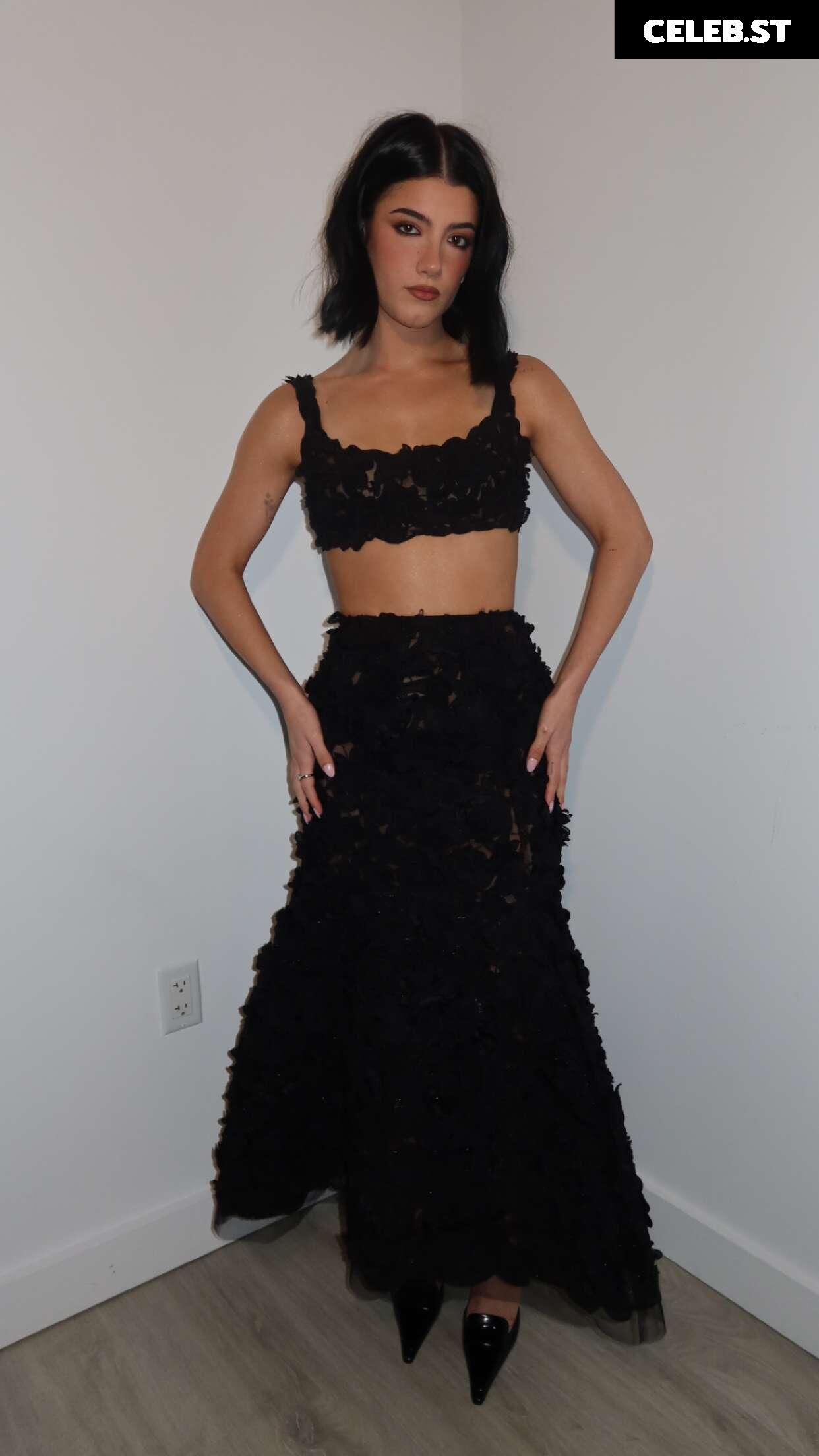 Charli D&#039;Amelio / Charli Damelio Image 4793665