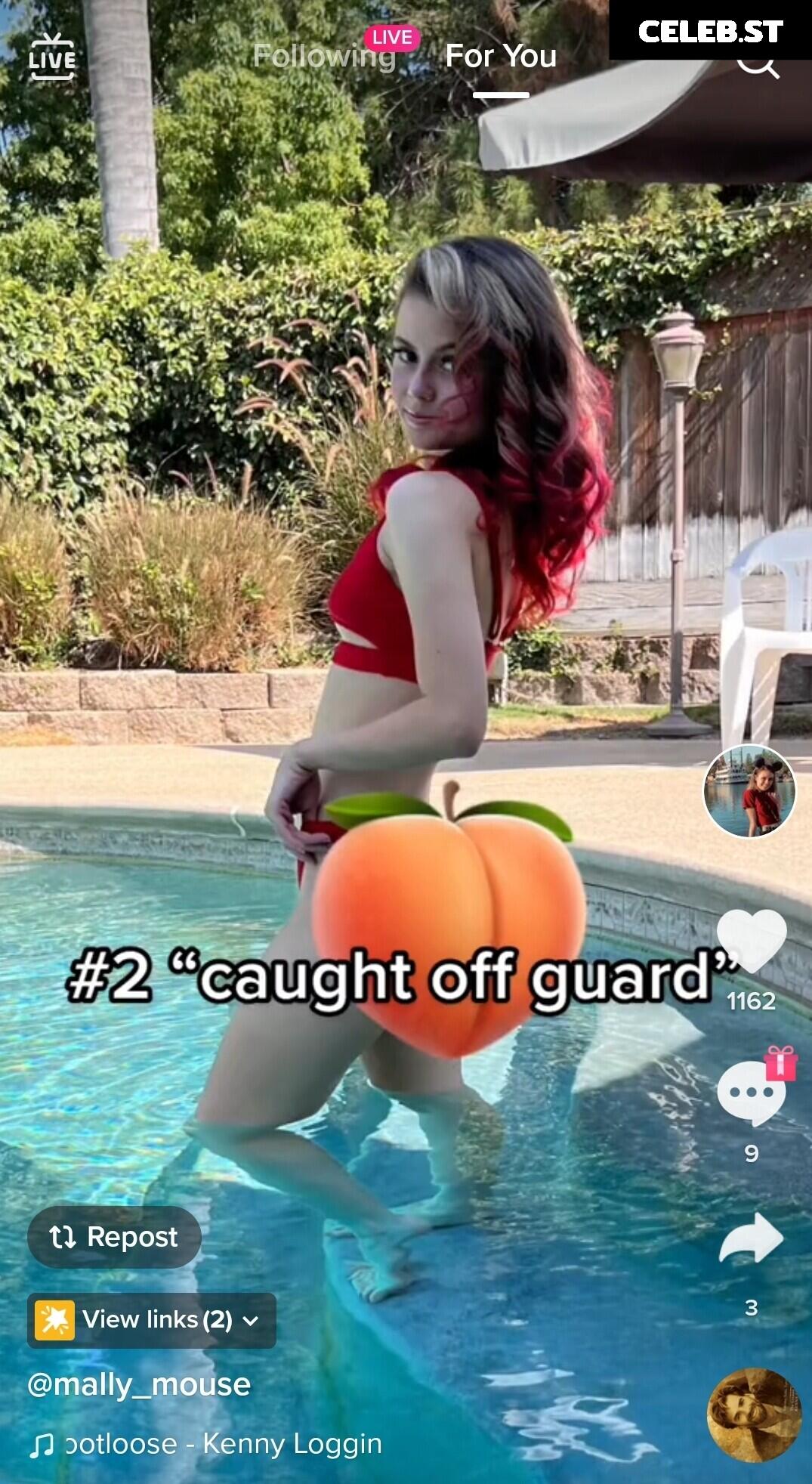 Mally_Mouse Image 4774066