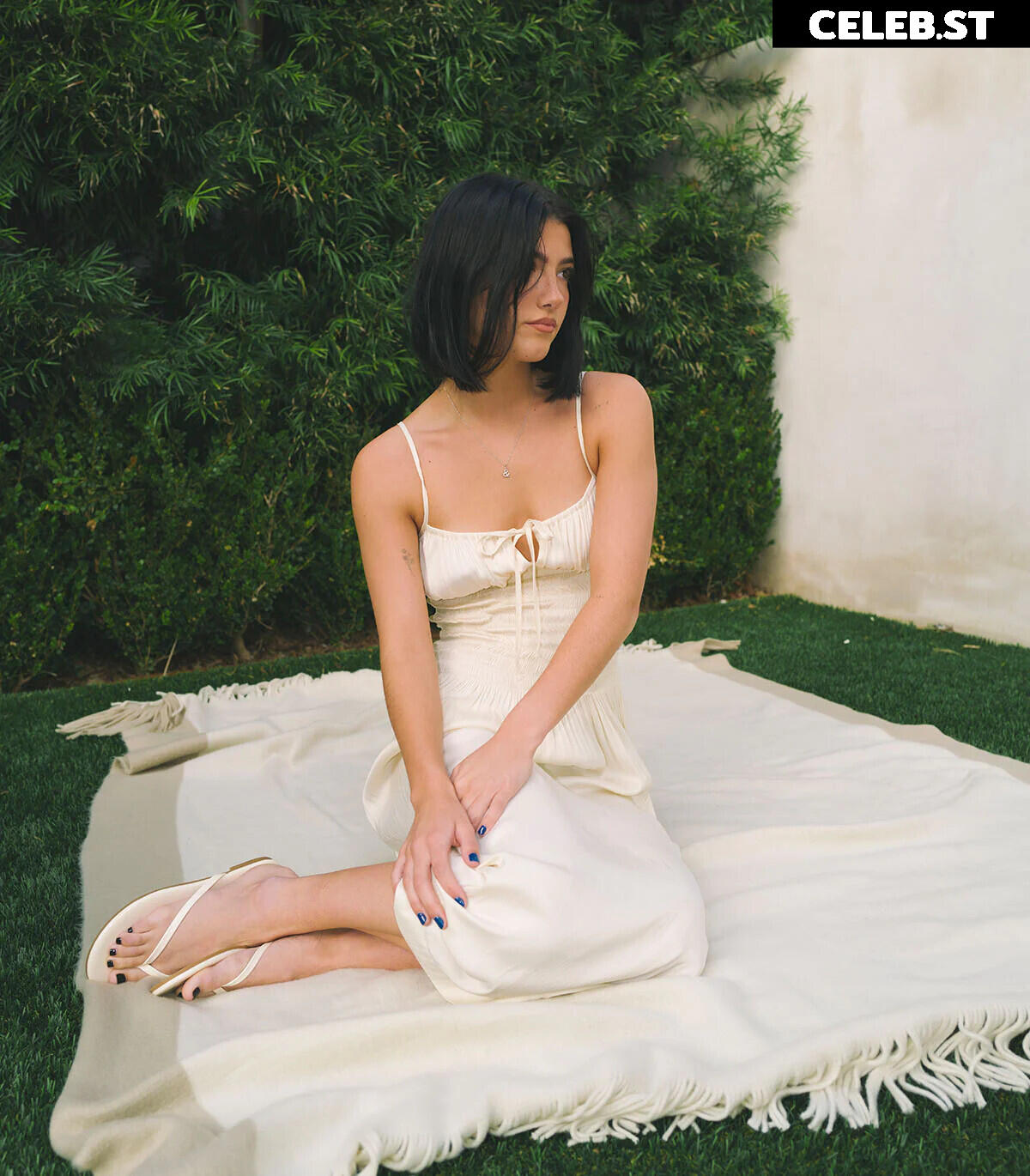 Charli D&#039;Amelio / Charli Damelio Image 4766516