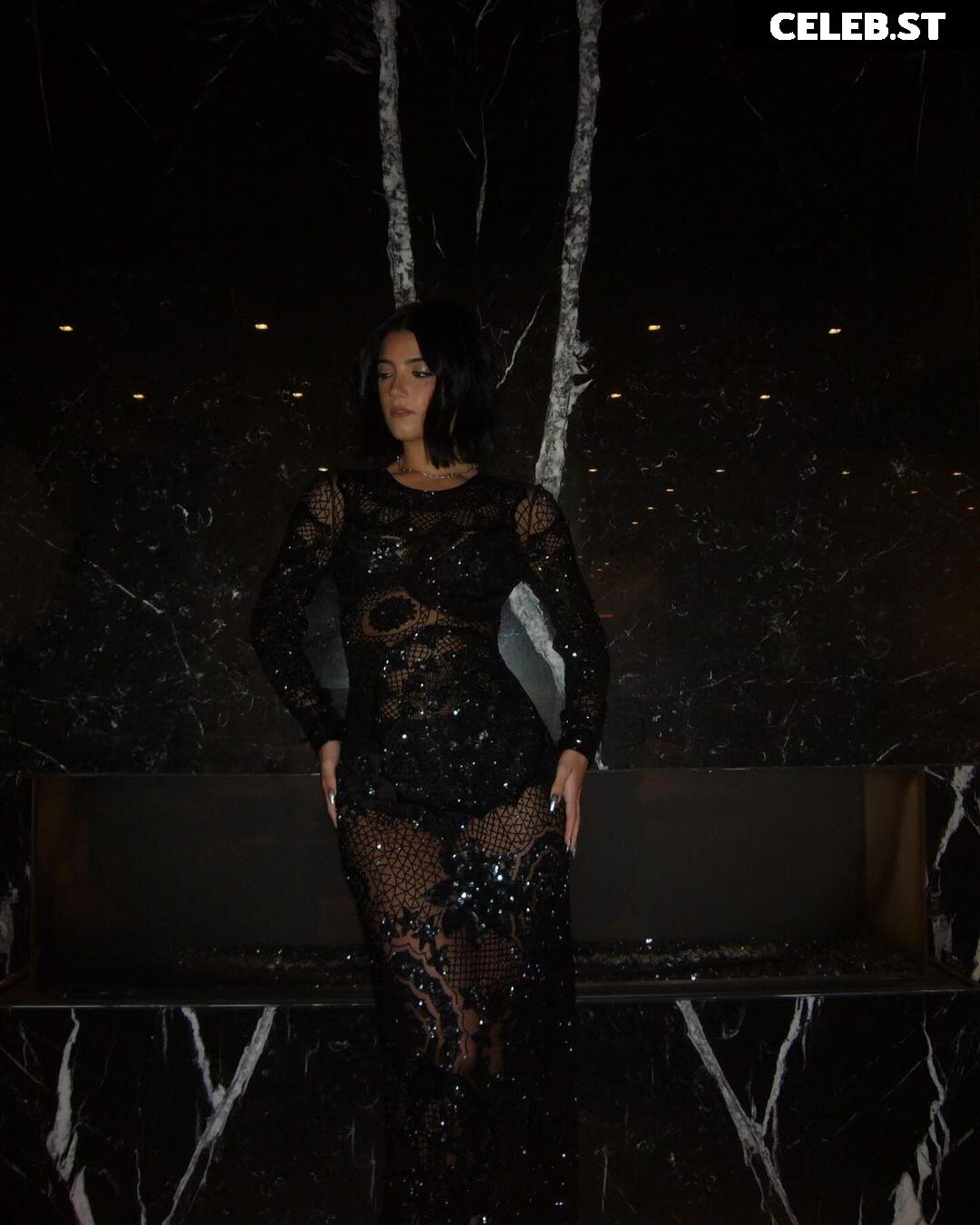 Charli D&#039;Amelio / Charli Damelio Image 4761464