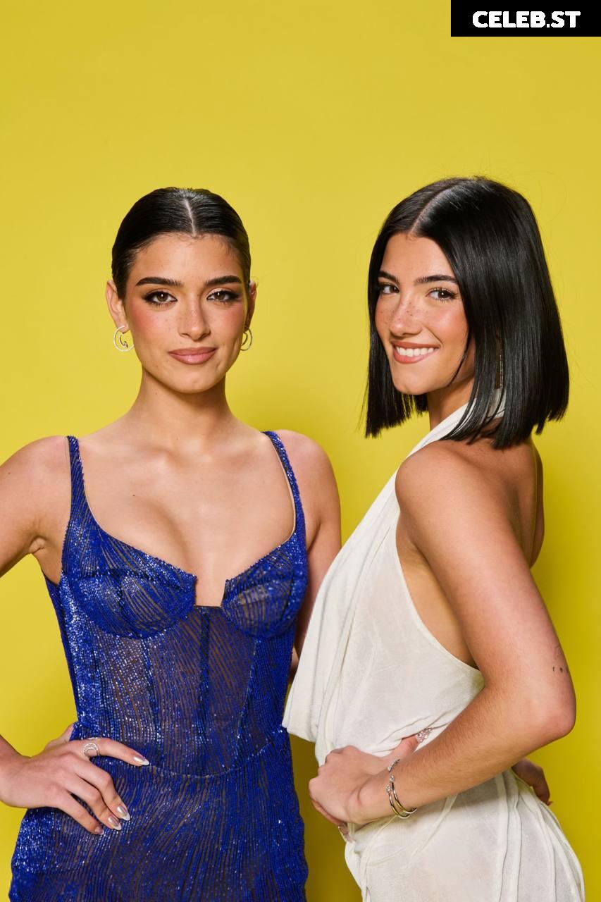 Charli D&#039;Amelio / Charli Damelio Image 4761697