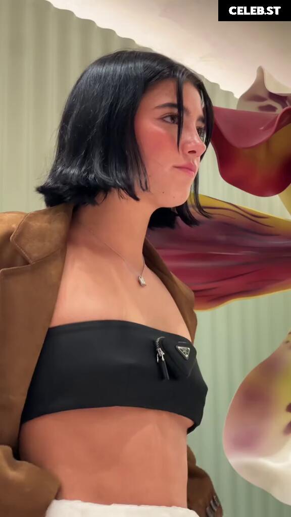 Charli D&#039;Amelio / Charli Damelio Image 4755980