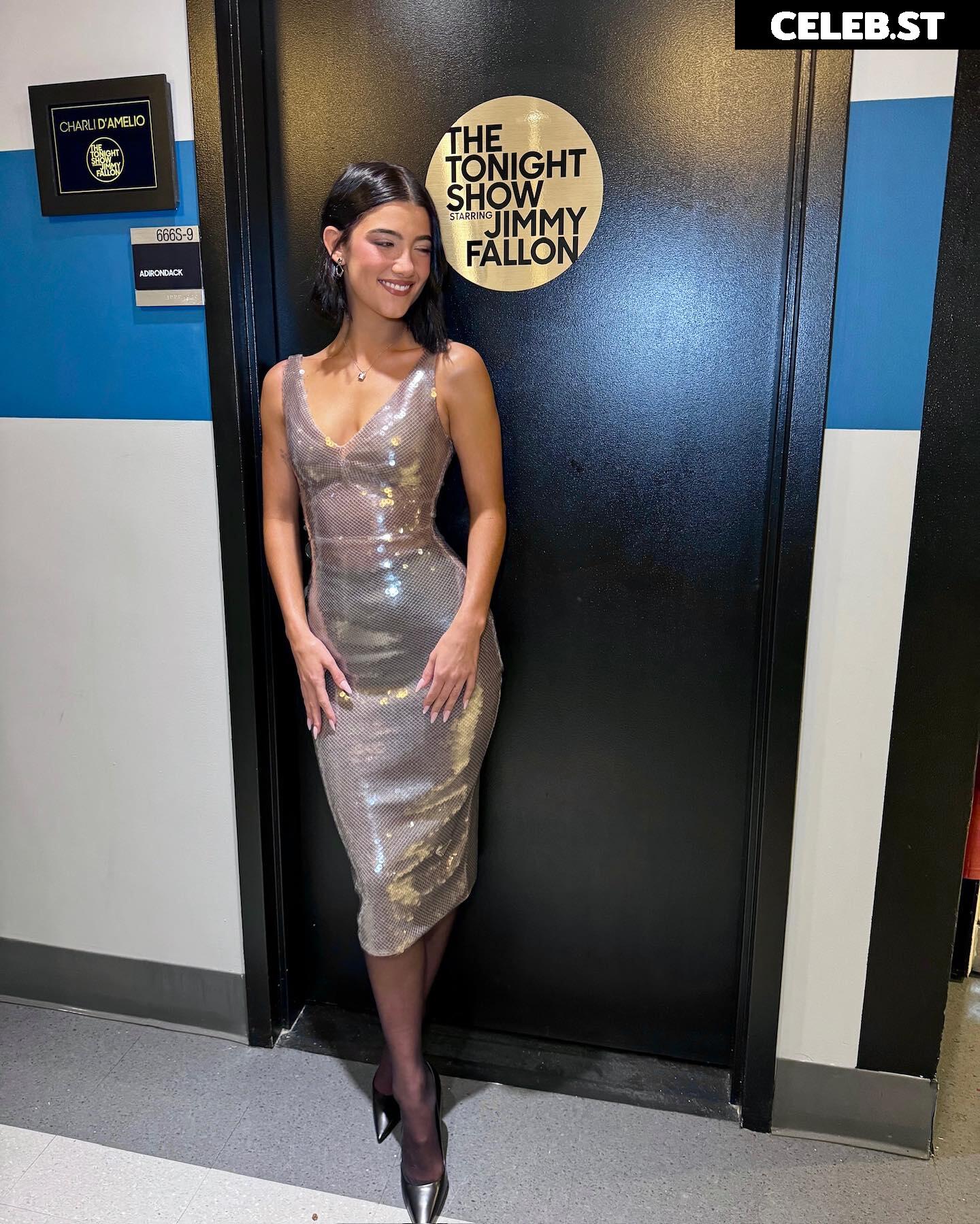 Charli D&#039;Amelio / Charli Damelio Image 4756834