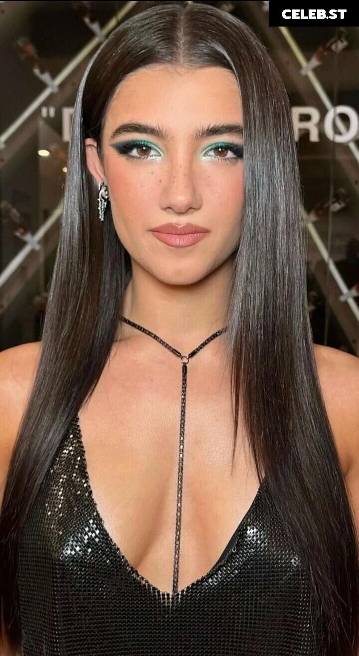 Charli D'Amelio / Charli Damelio Image 4742409