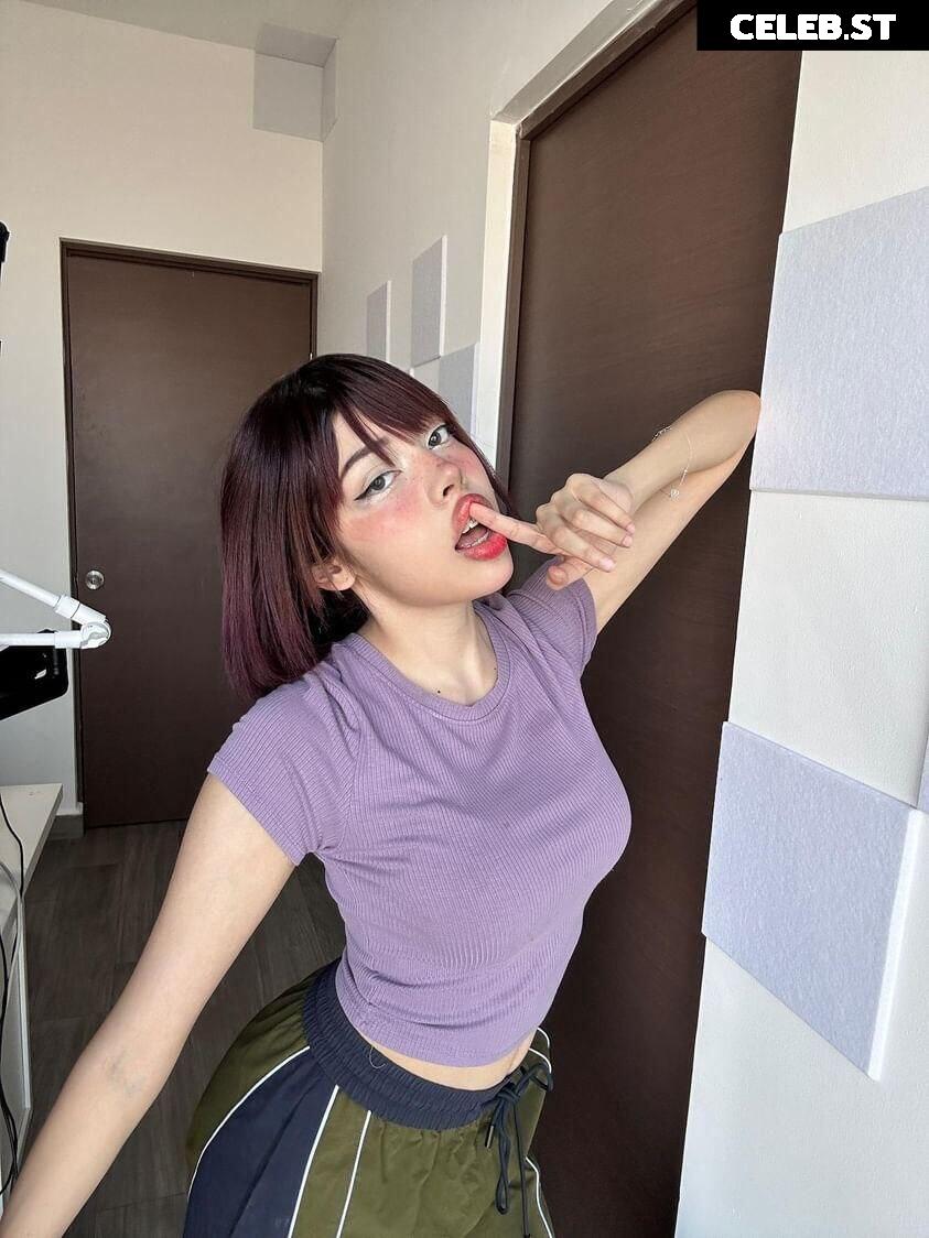 Didiwinx Image 4743730