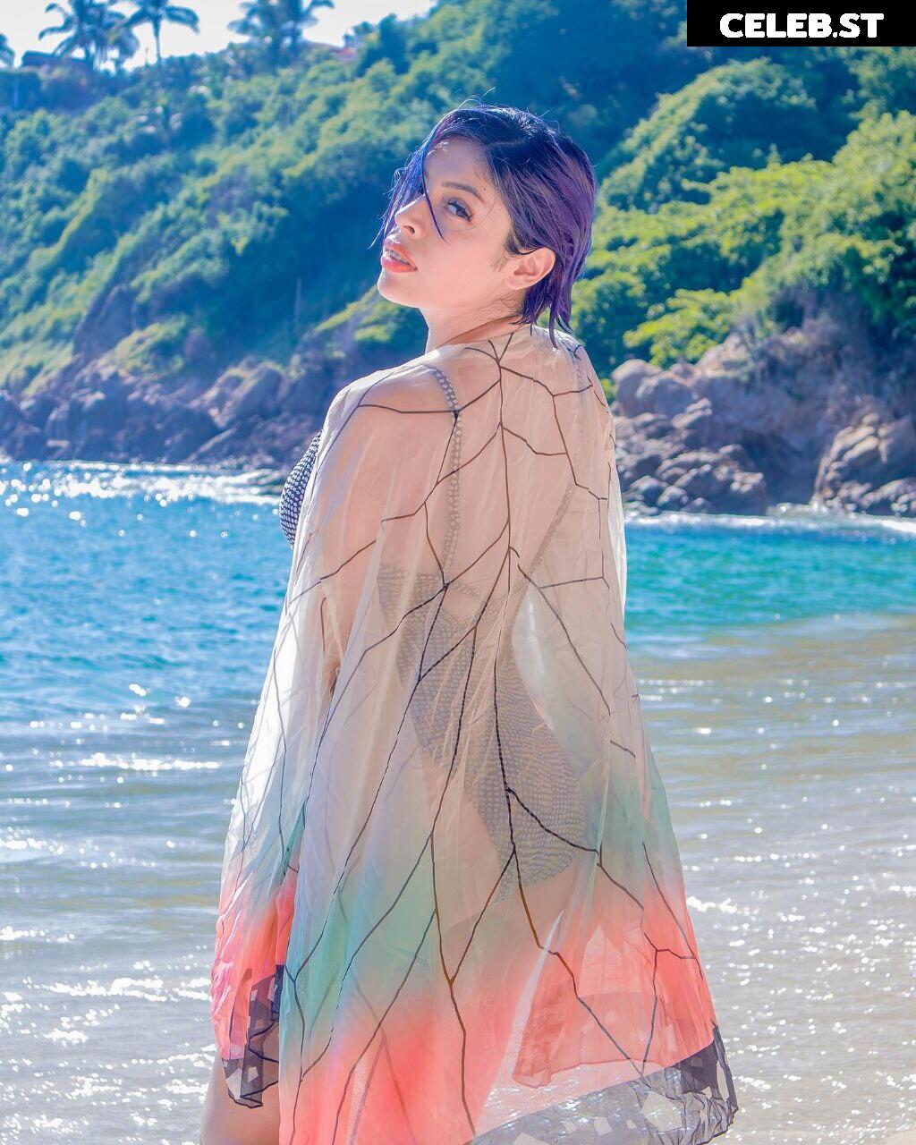 Didiwinx Image 4743204