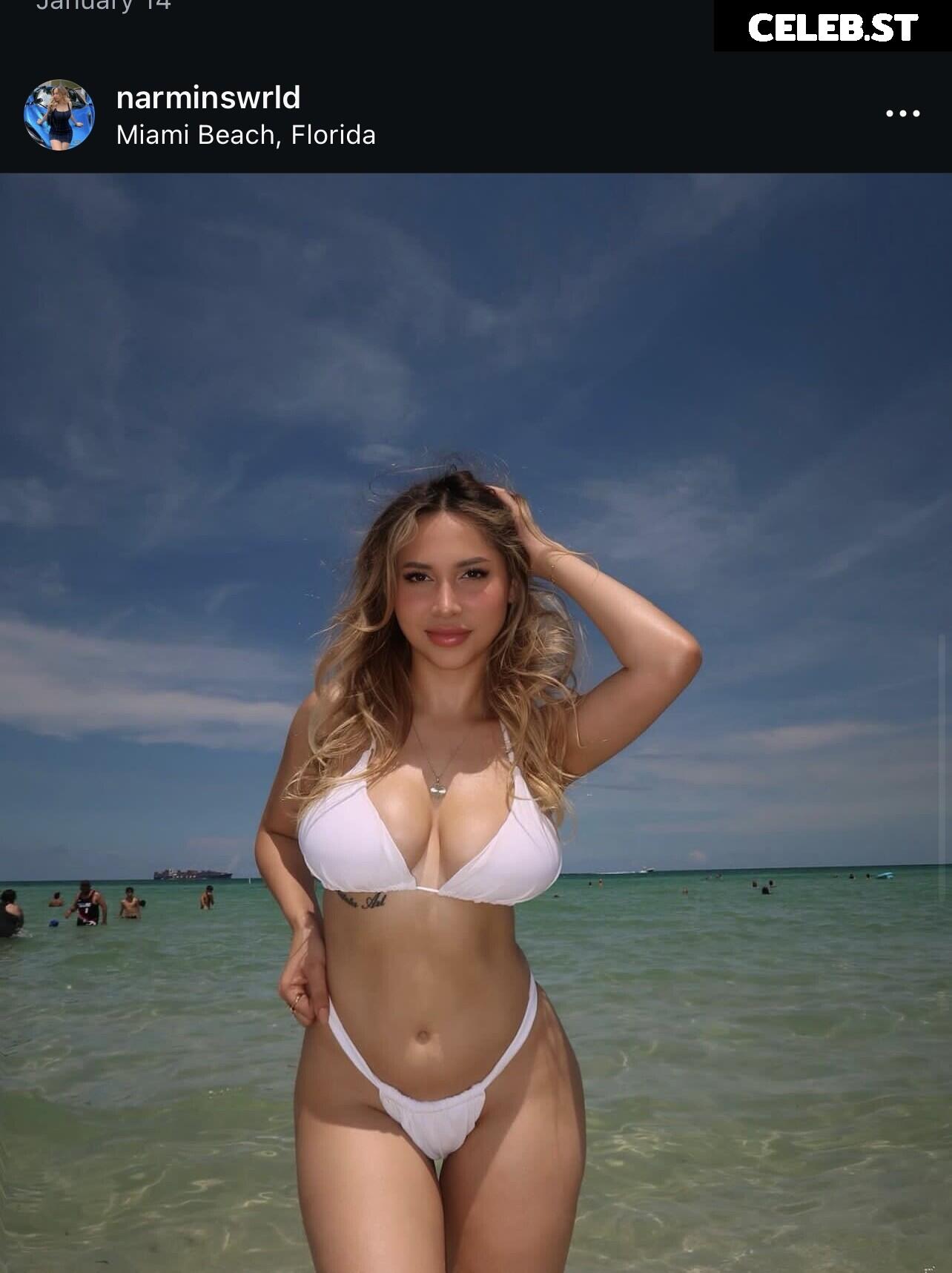 @narminswrld / @stonecoldnarmin Image 4720176