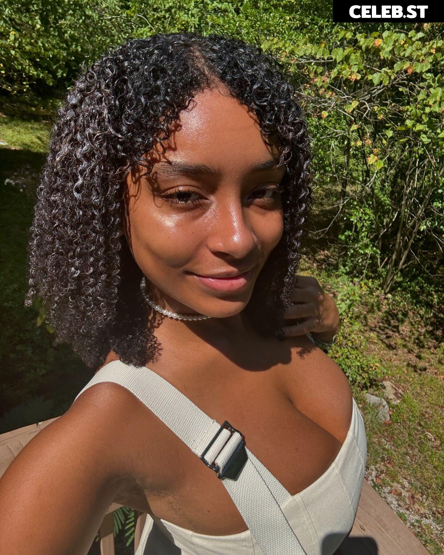 planterriah Image 4705676