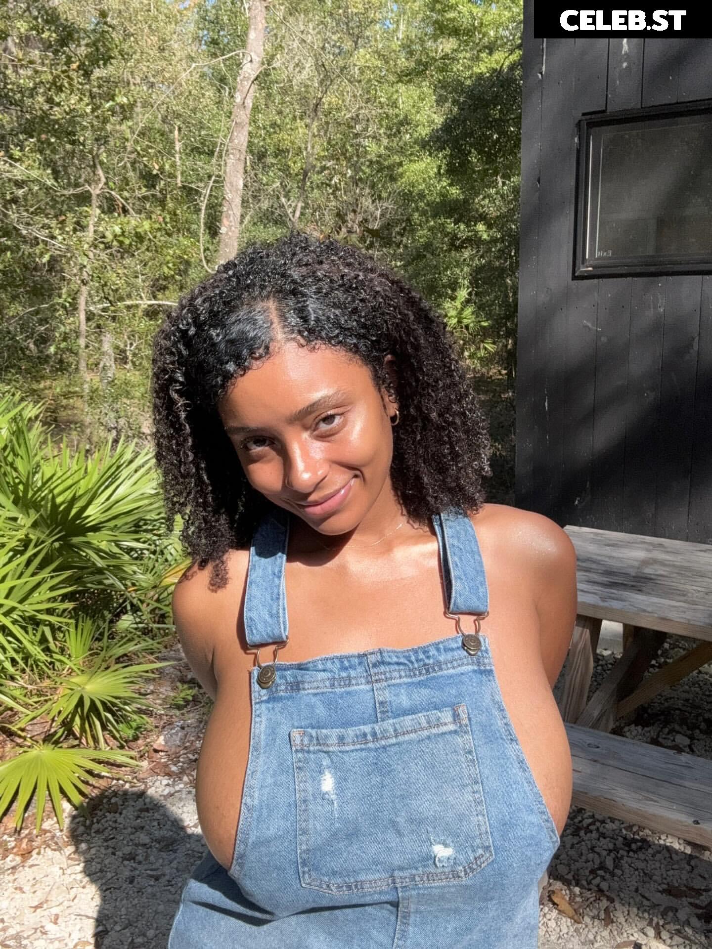 planterriah Image 4707674