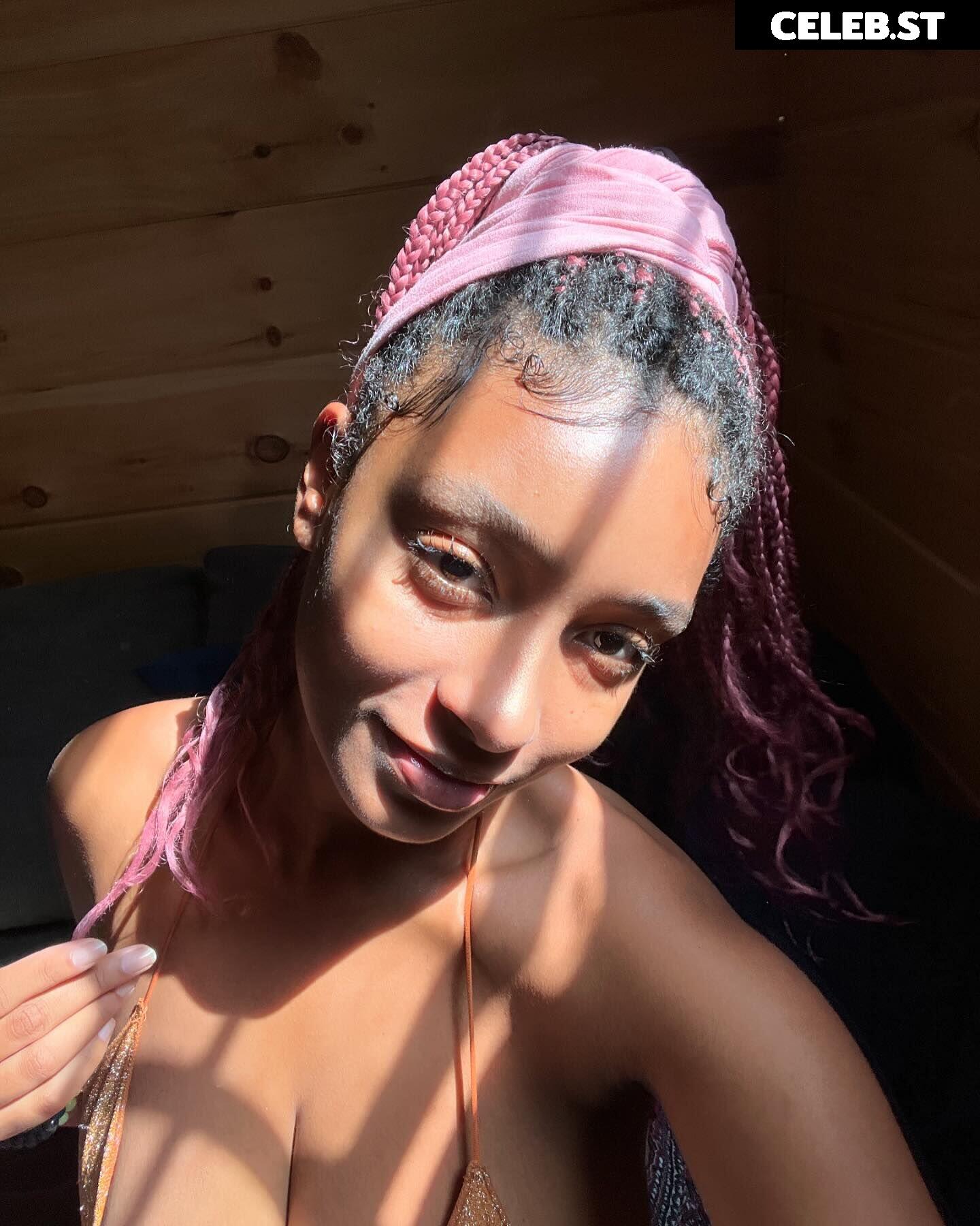 planterriah Image 4704001