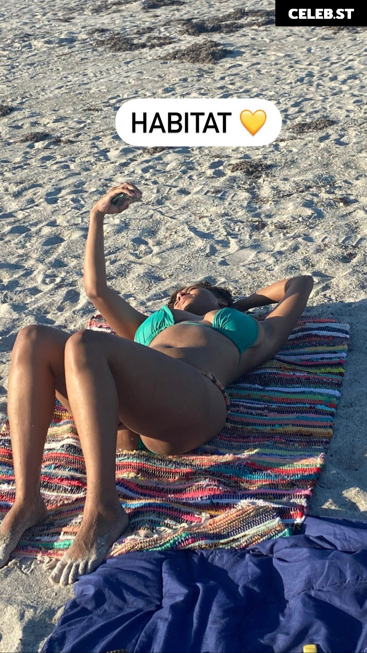 planterriah Image 4701491