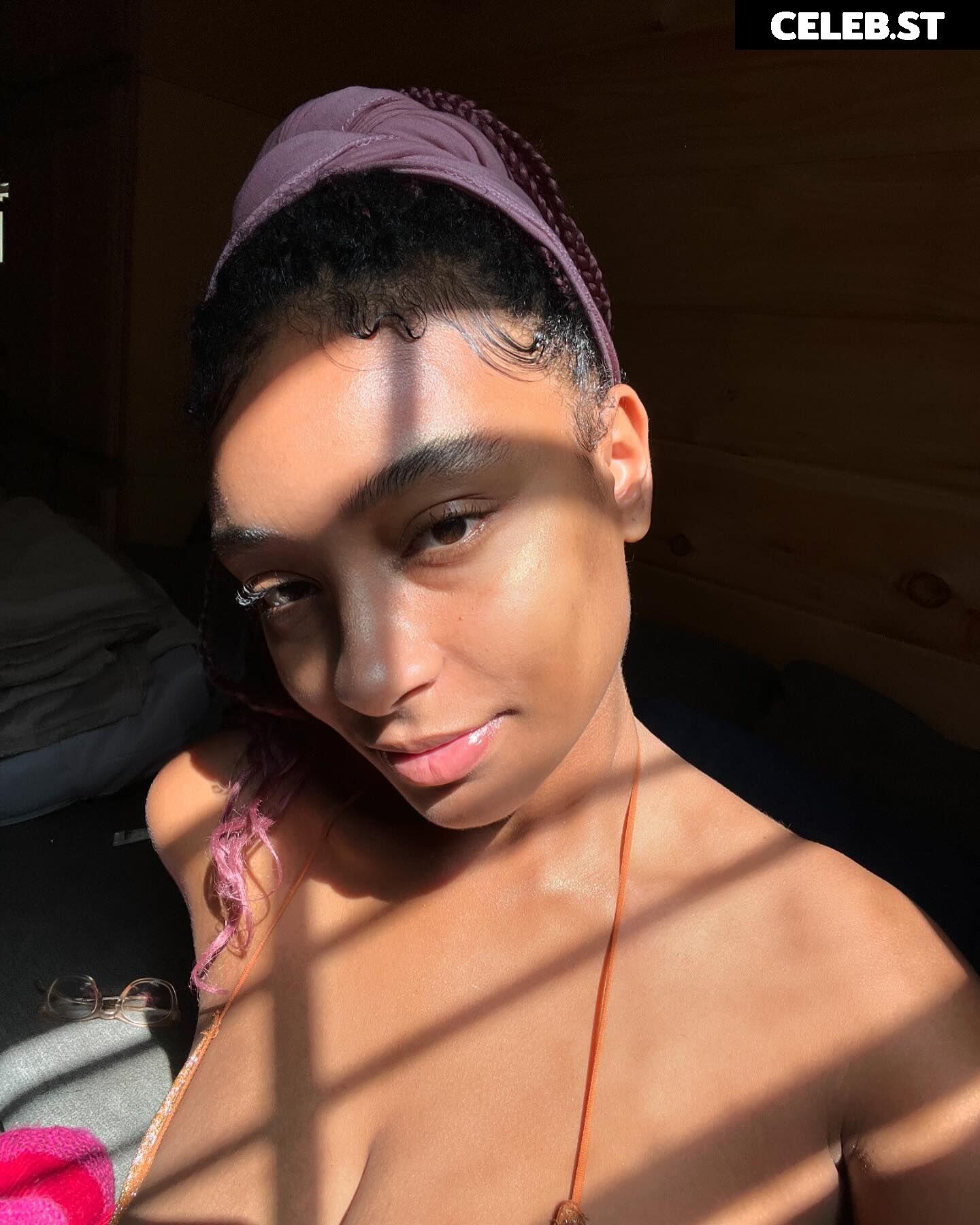 planterriah Image 4703933