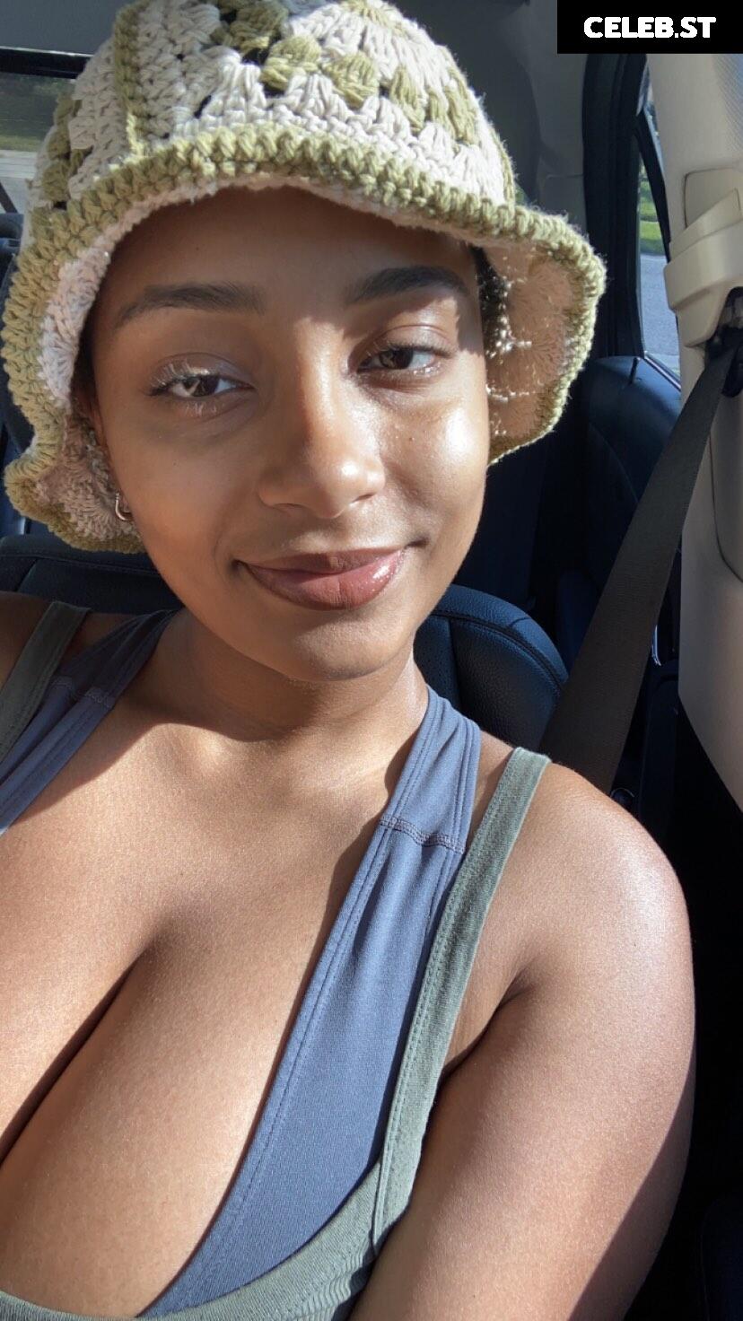 planterriah Image 4700514