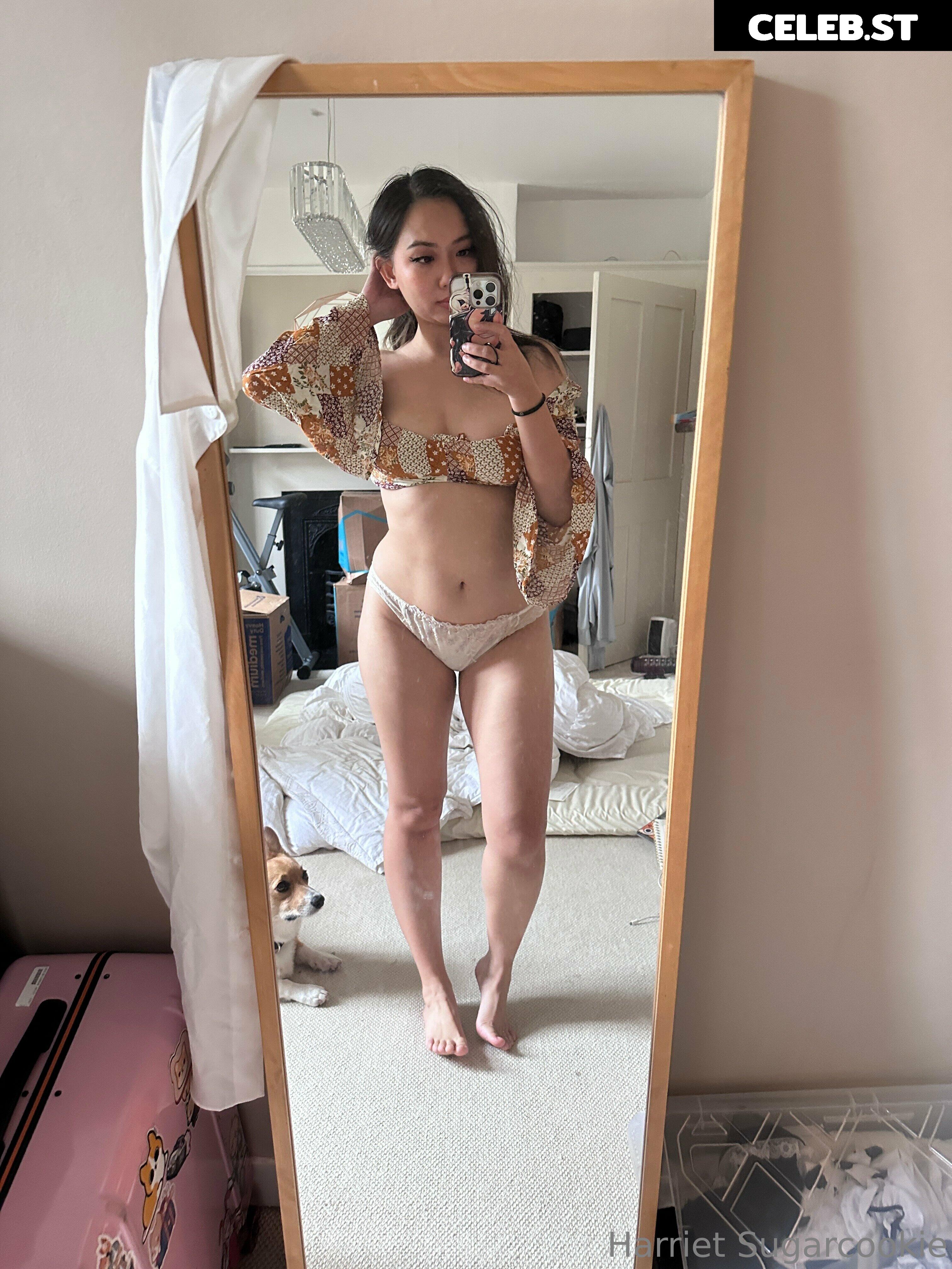Harriet Sugarcookie Image 4097844