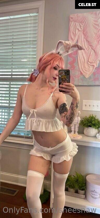 Sneesnaw Image 4097633