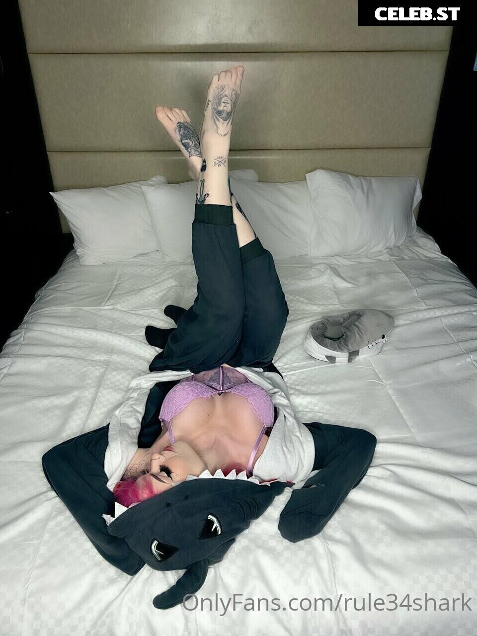 Holofox / rule34shark / holofox69 Image 4094198