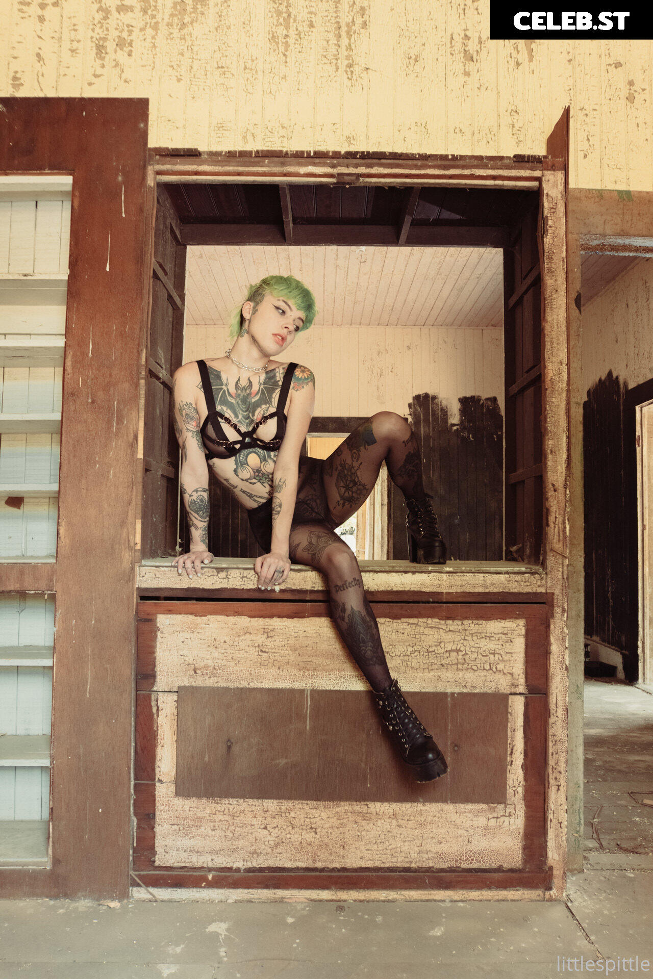 Little Spittle Image 408602