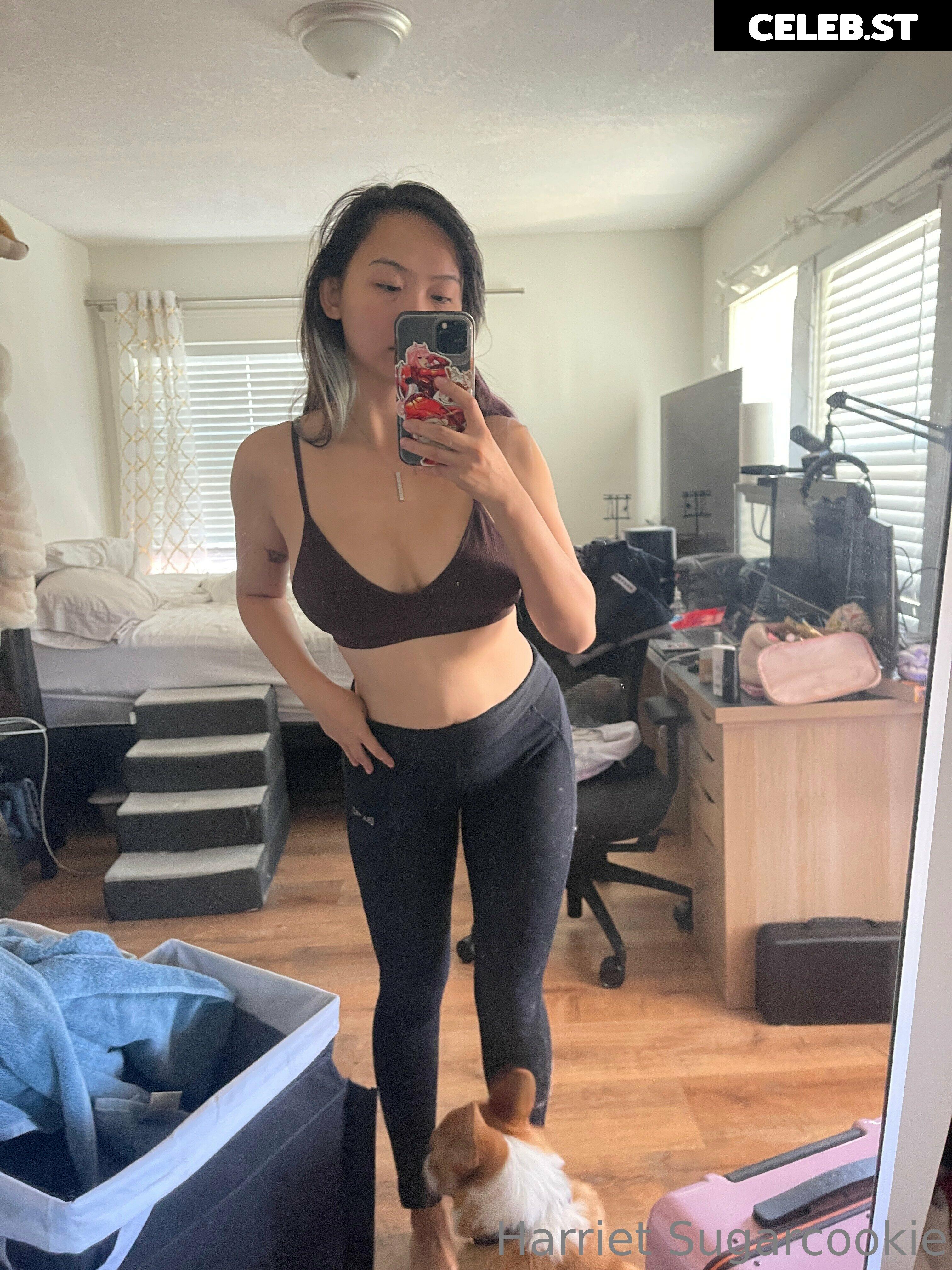 Harriet Sugarcookie Image 4081237