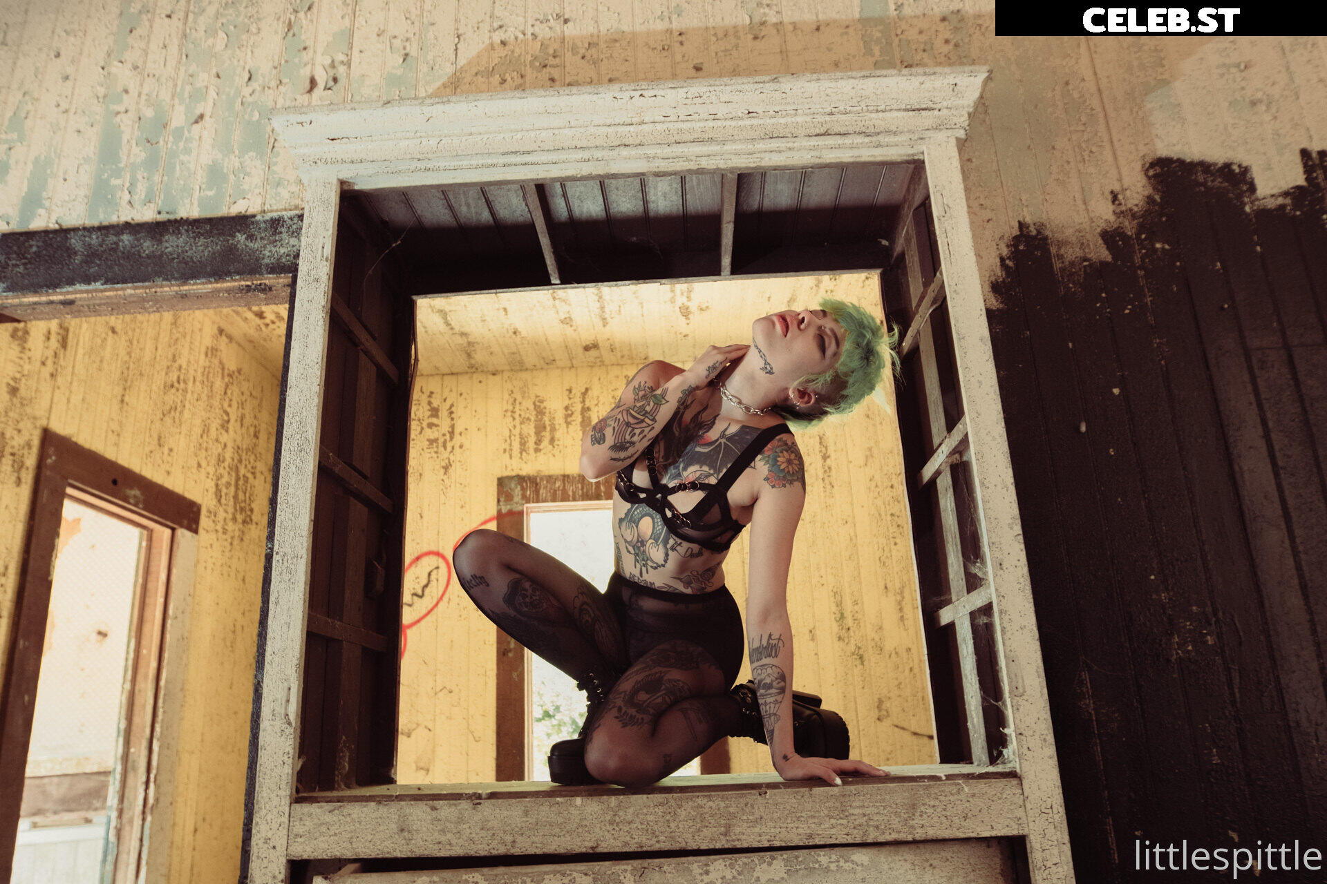 Little Spittle Image 408234