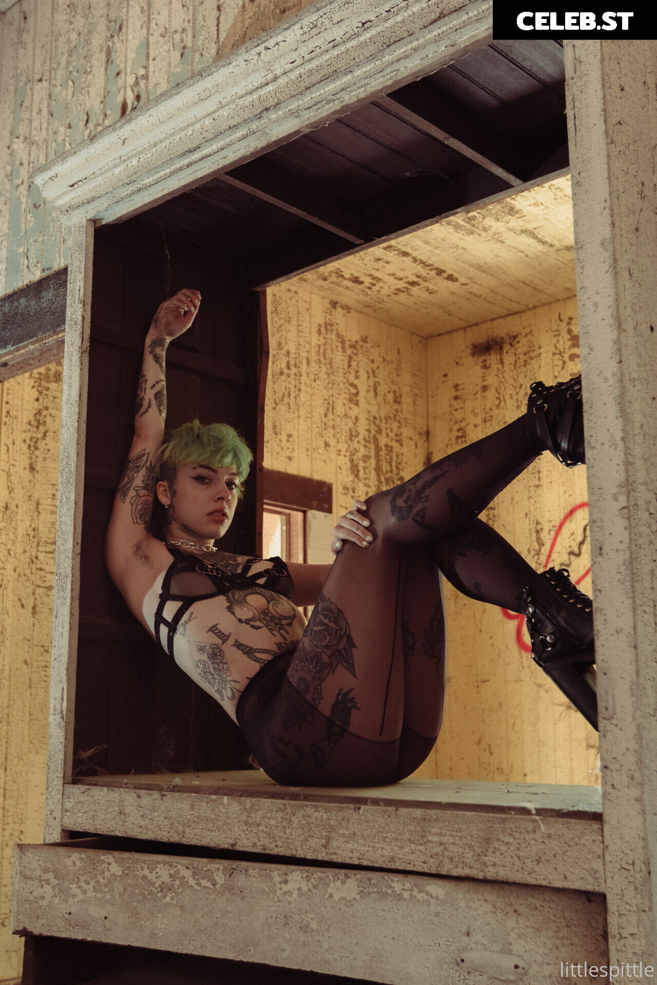 Little Spittle Image 408344