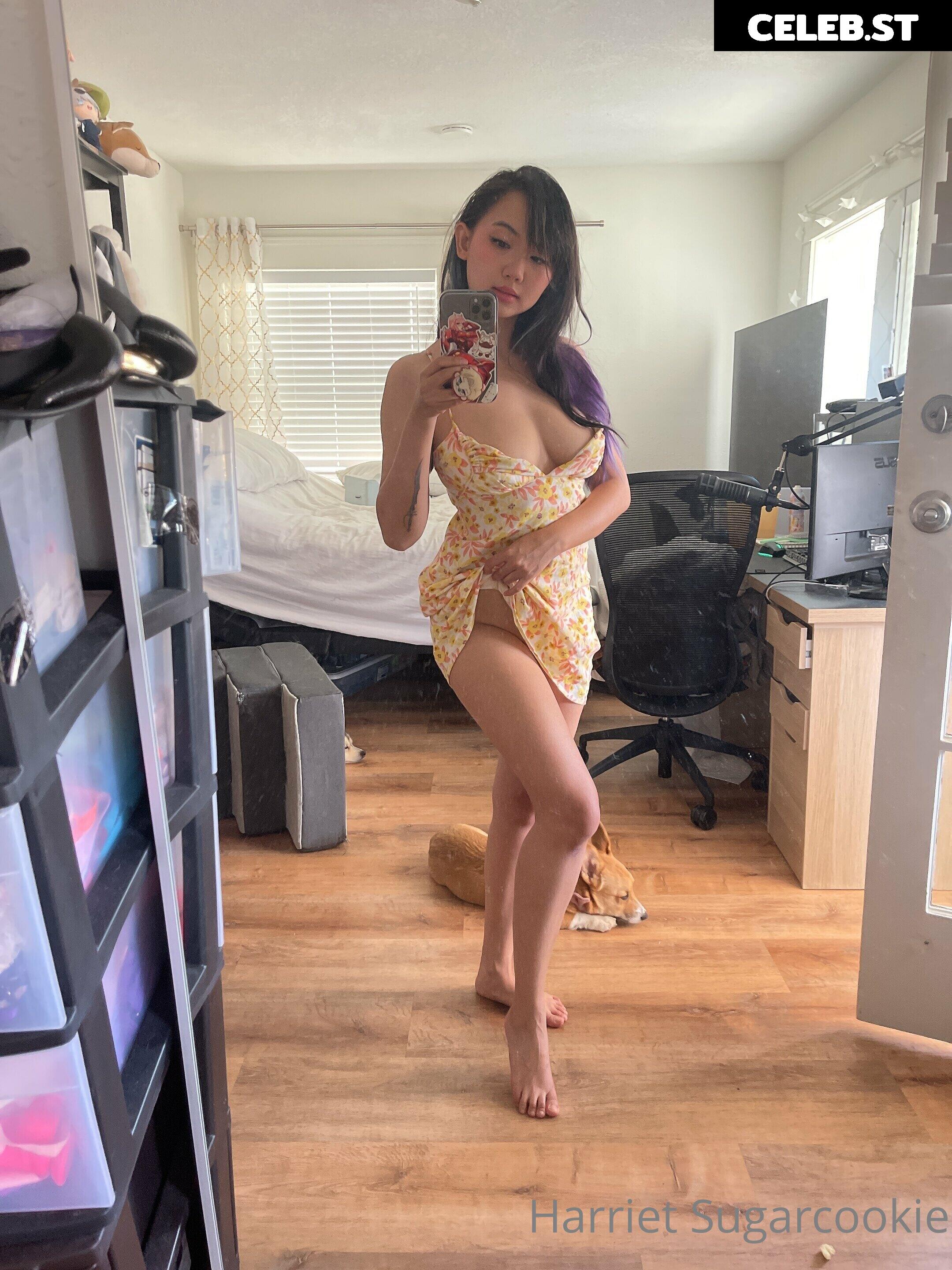 Harriet Sugarcookie Image 4076049