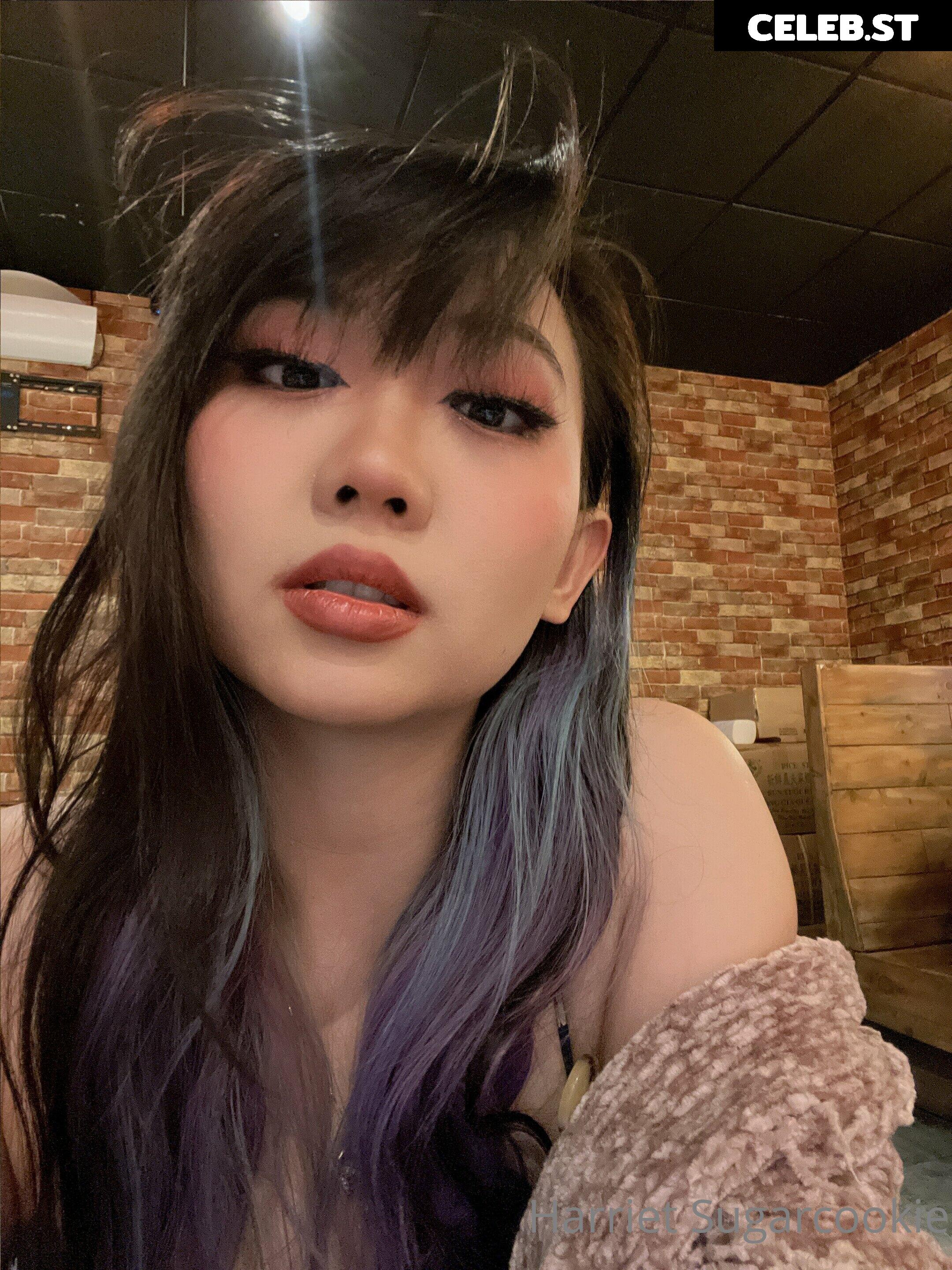 Harriet Sugarcookie Image 4073642