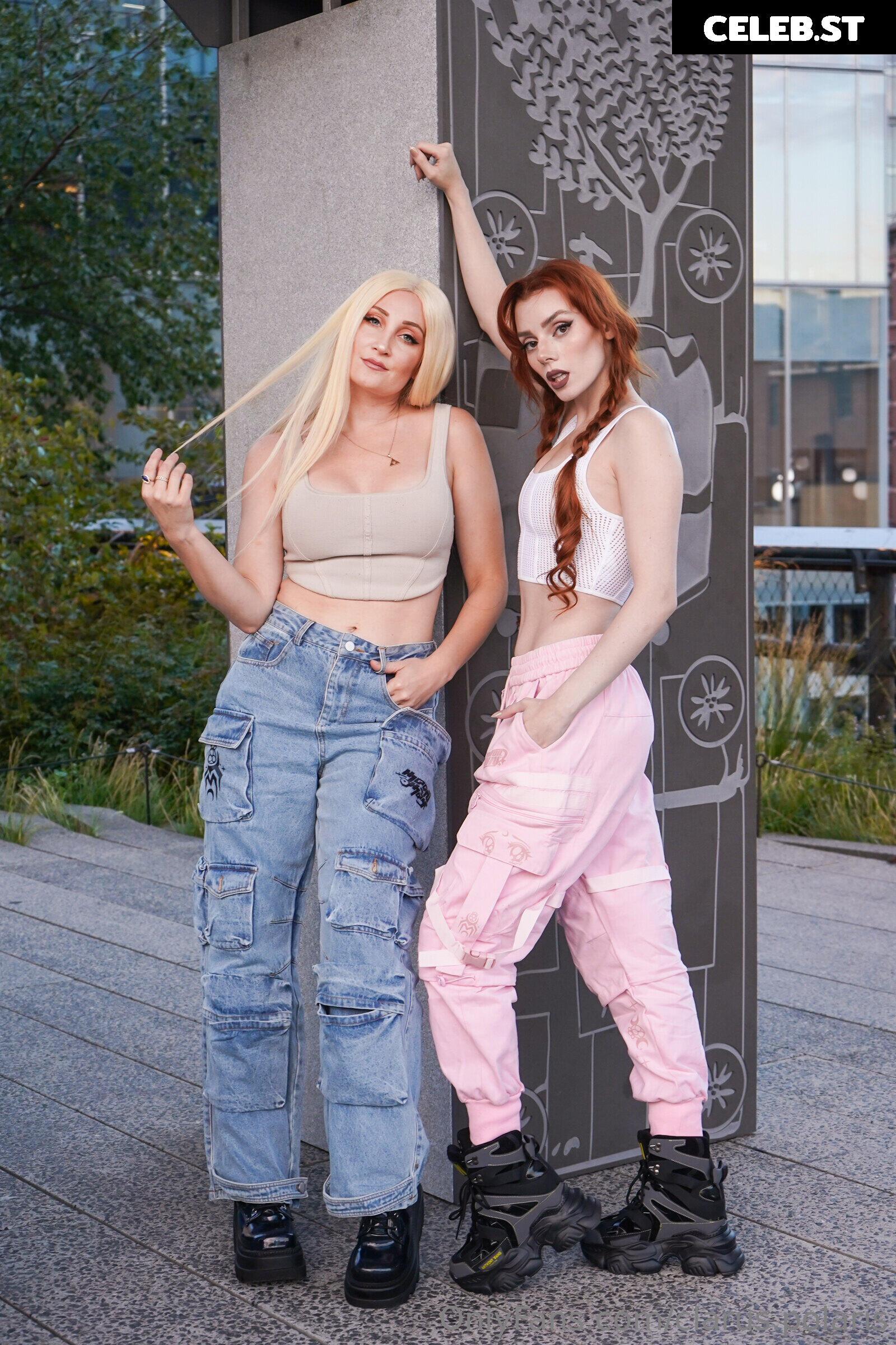 Clarus Polaris Image 4065294