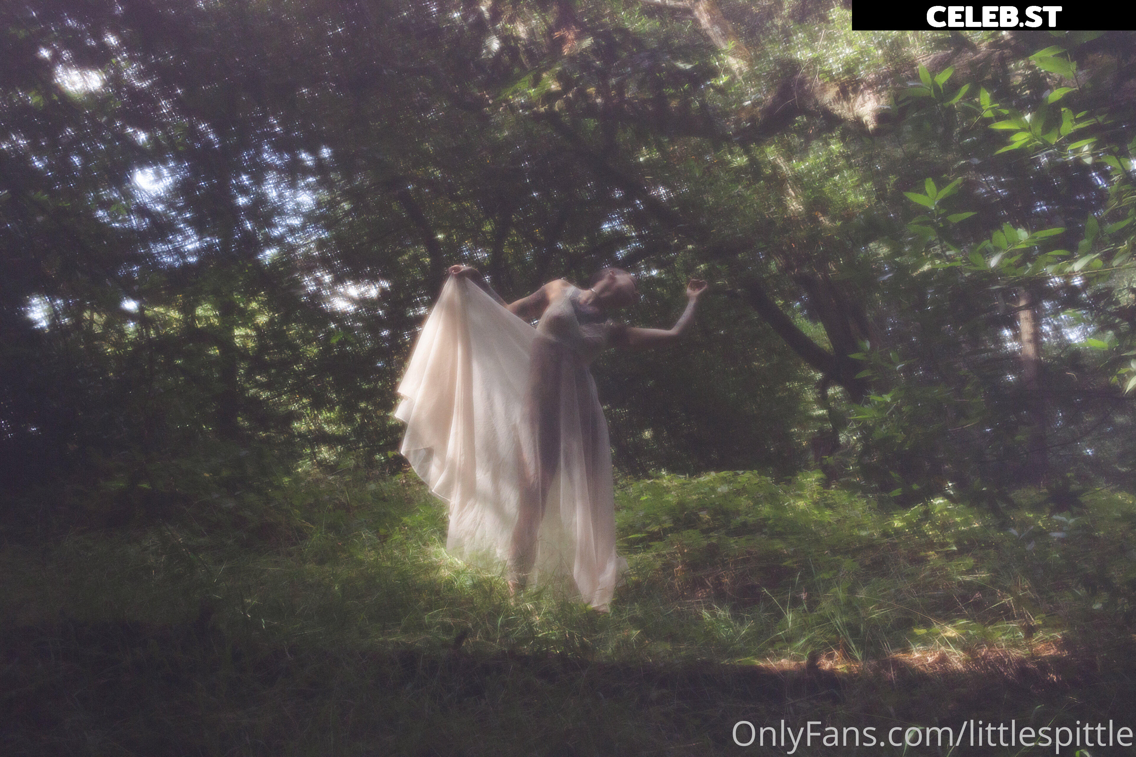 Little Spittle Image 406344