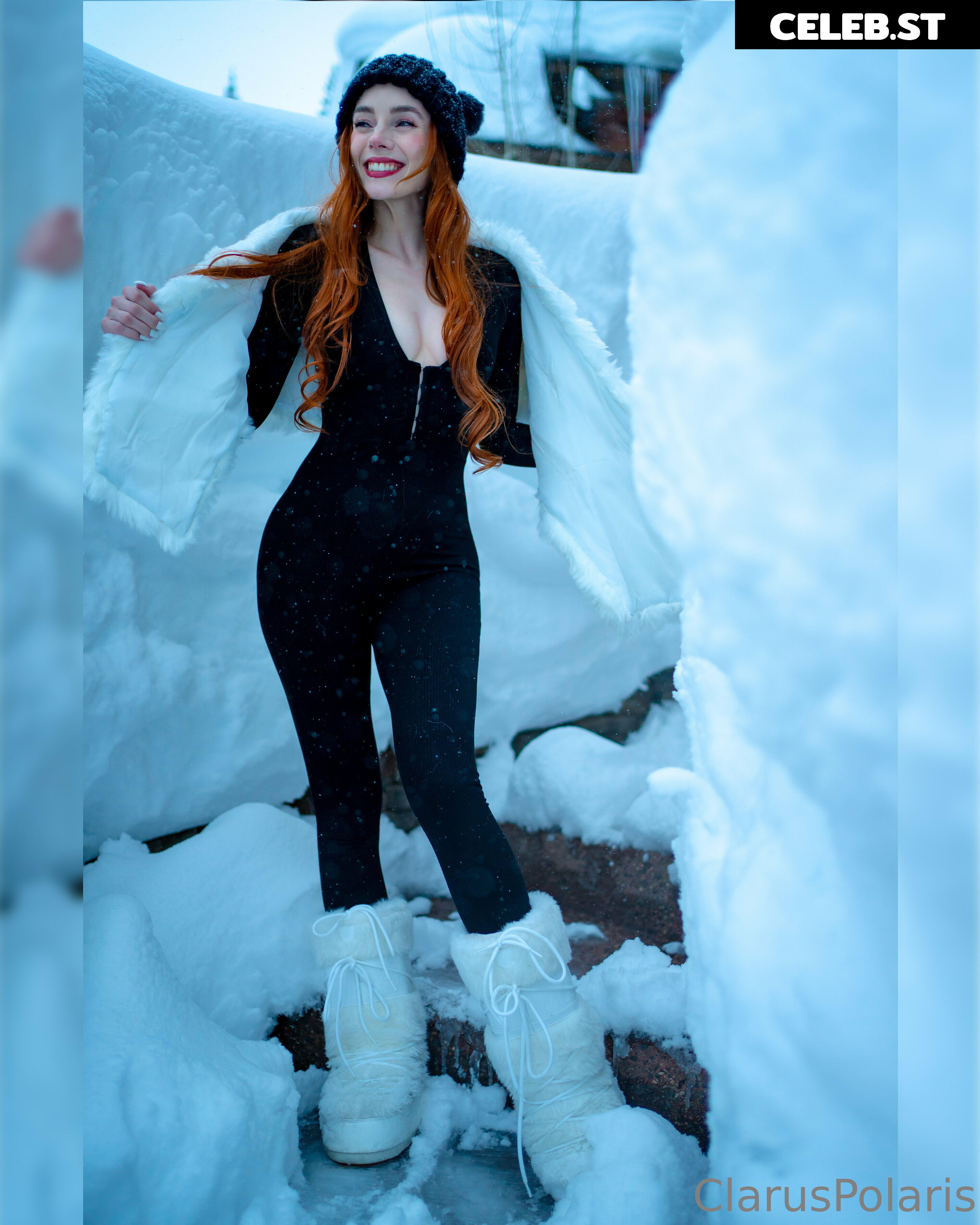 Clarus Polaris Image 4069536