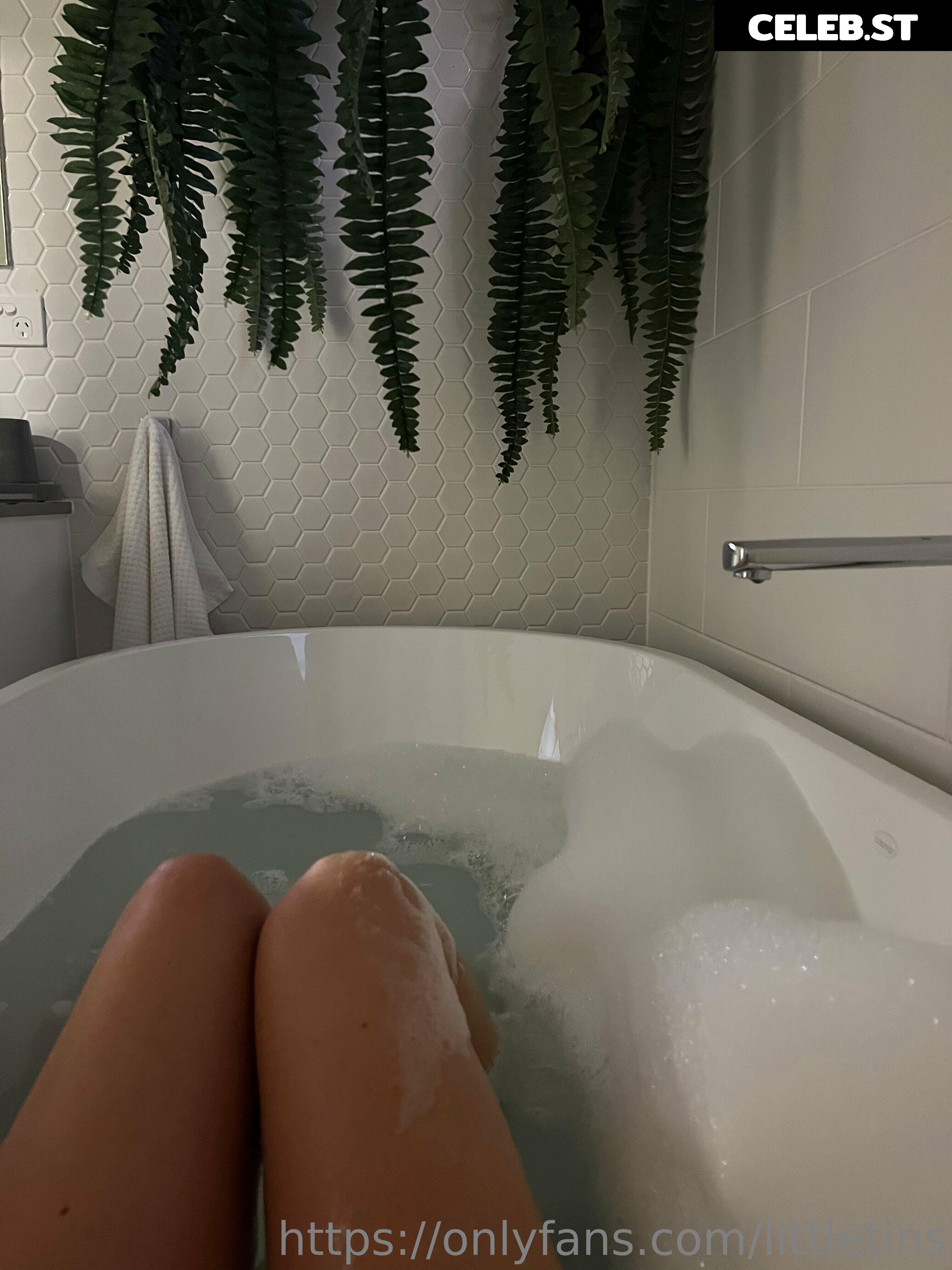 Lily Rose | lilrose | little.tins Image 4055153