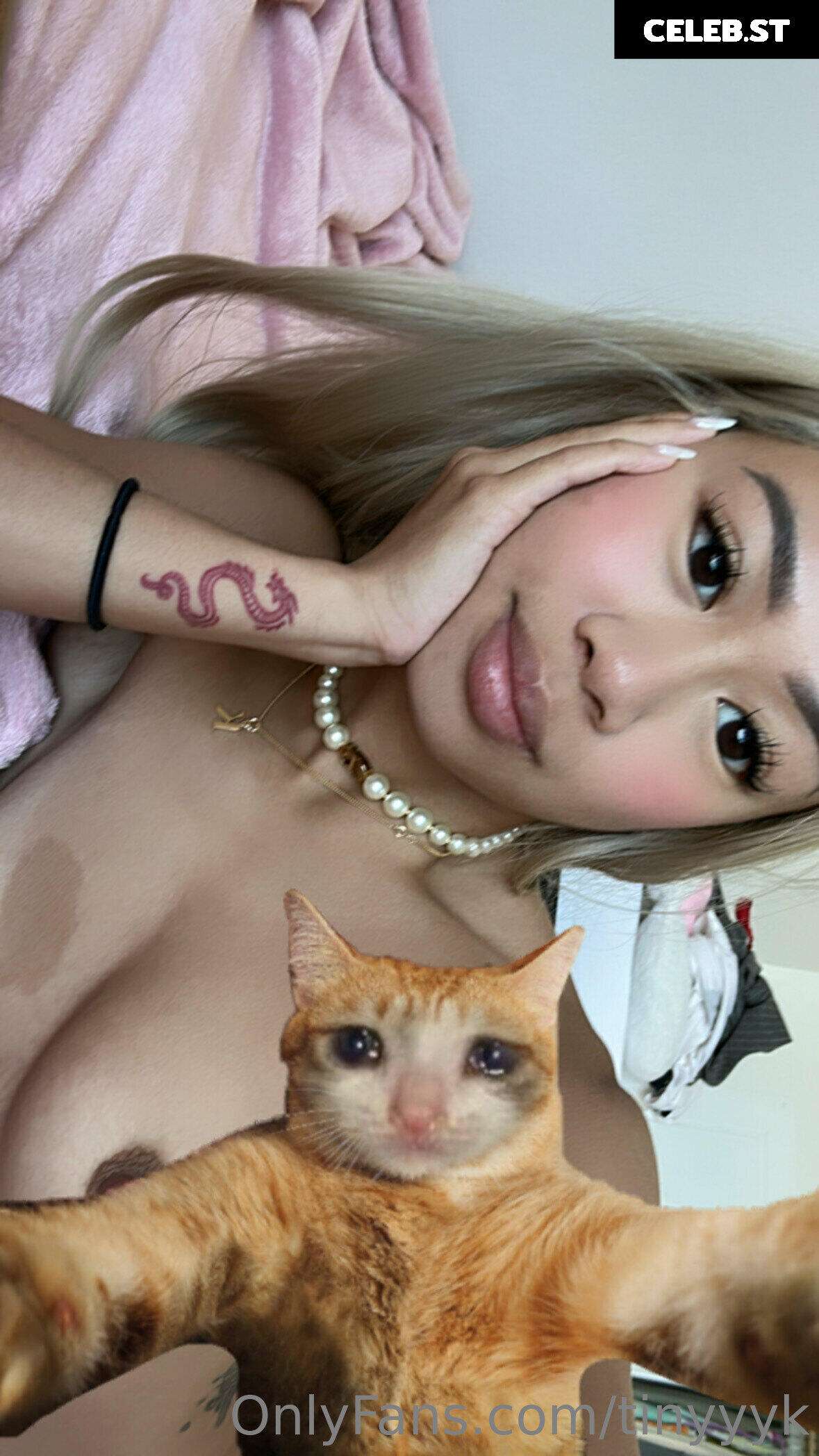 tinyyyk (aka kaylakipp) Image 4057830