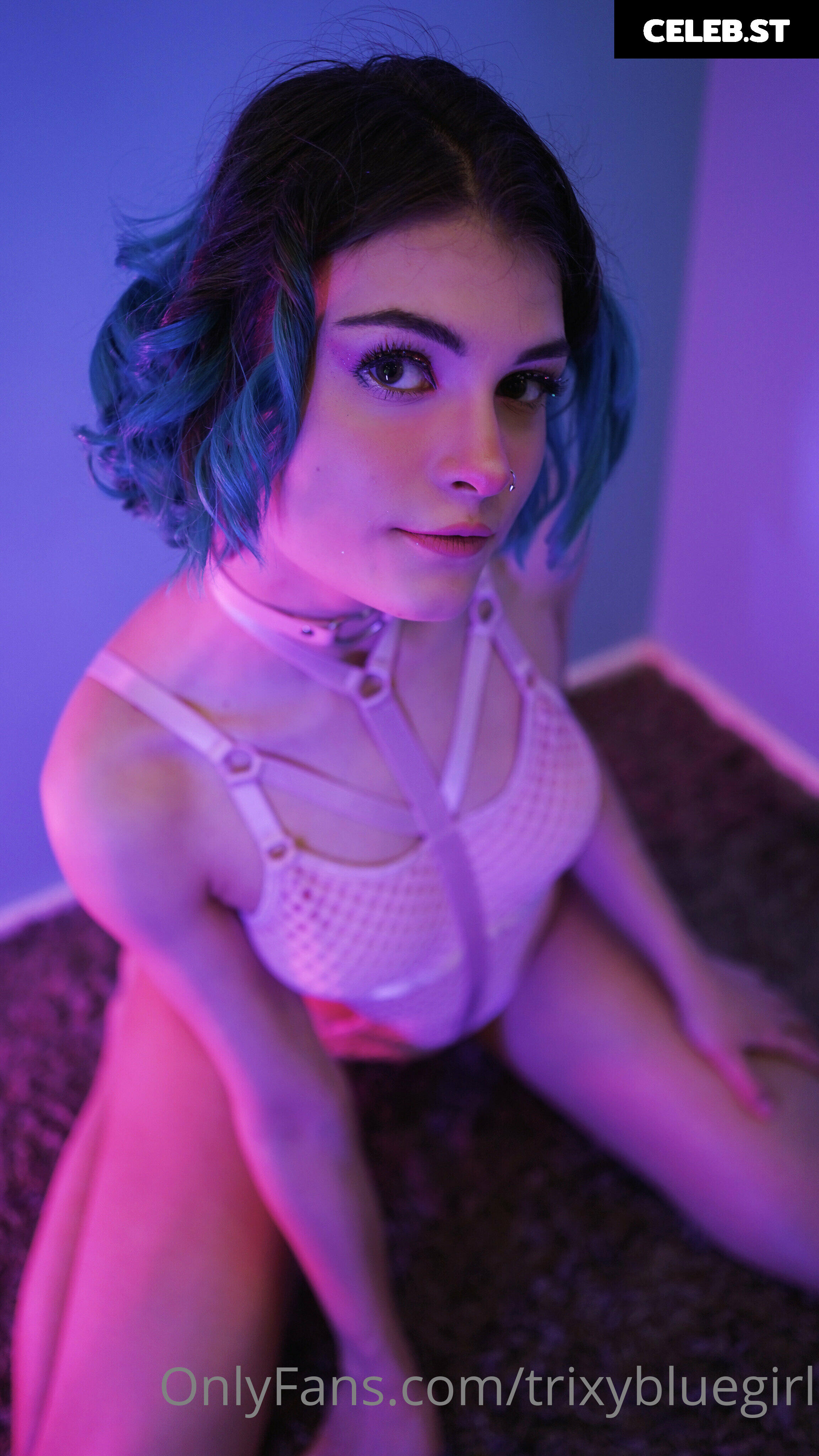 Trixy Blue Image 4054791